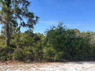CAMELLIA ACRE - 713 (BLK 123 LOTS 15&16) CAMELLIA DR, INDIAN LAKE ESTATES