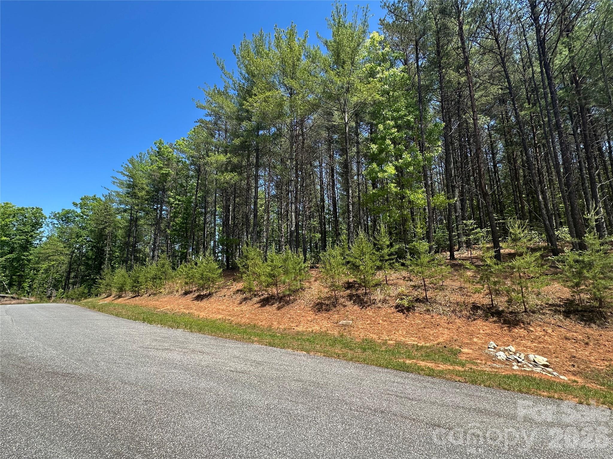 Lot at 3227 Ella Marie Way, Nebo, photo 4 of 9