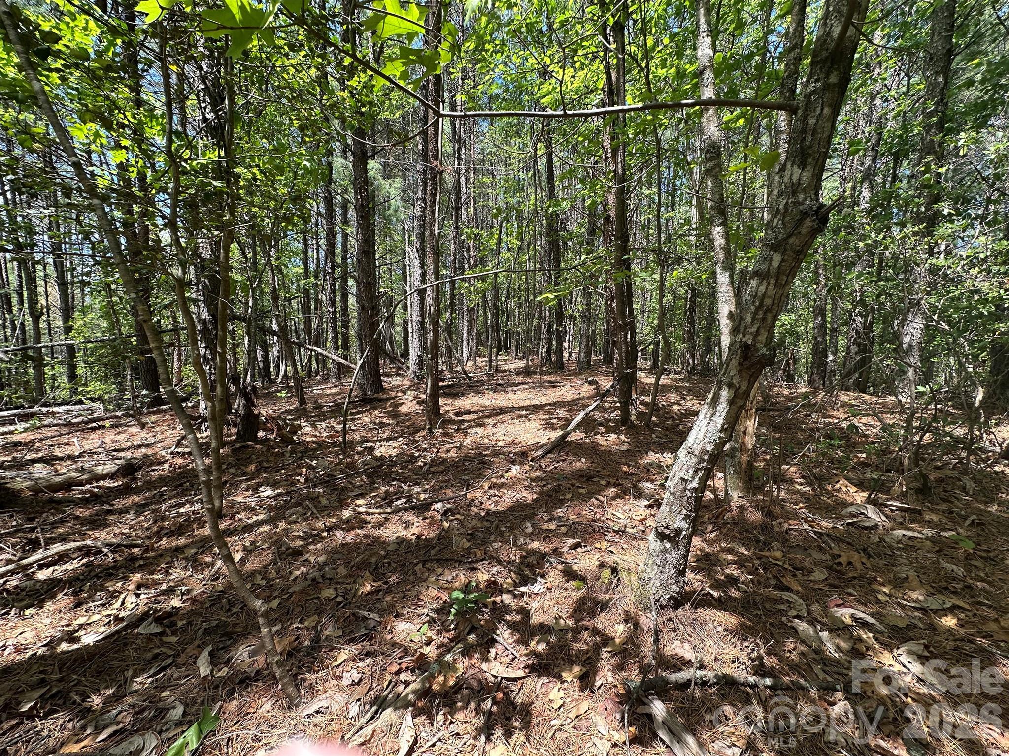 Lot at 3227 Ella Marie Way, Nebo, photo 8 of 9