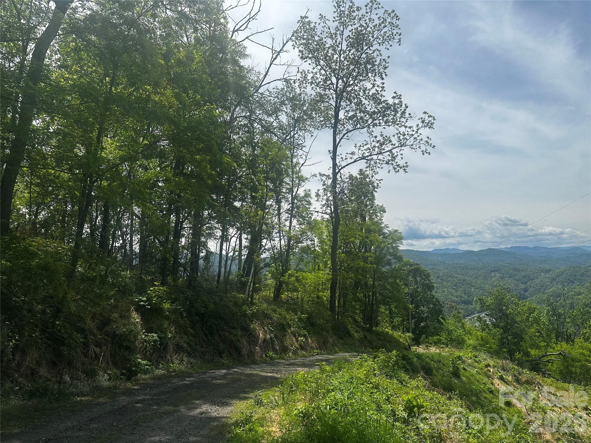 Lot at 00 John Sparks Road, Bakersville, photo 3 of 18