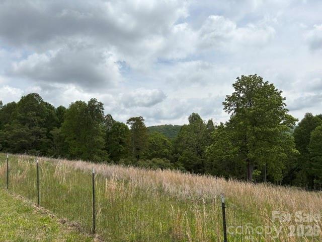 pasture land behind home - 68 Simply Grateful Drive, Hendersonville
