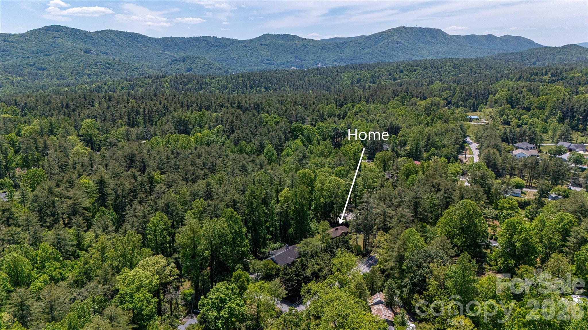 Single Family Residence at 3004 Kanuga Road, Hendersonville, photo 41 of 44