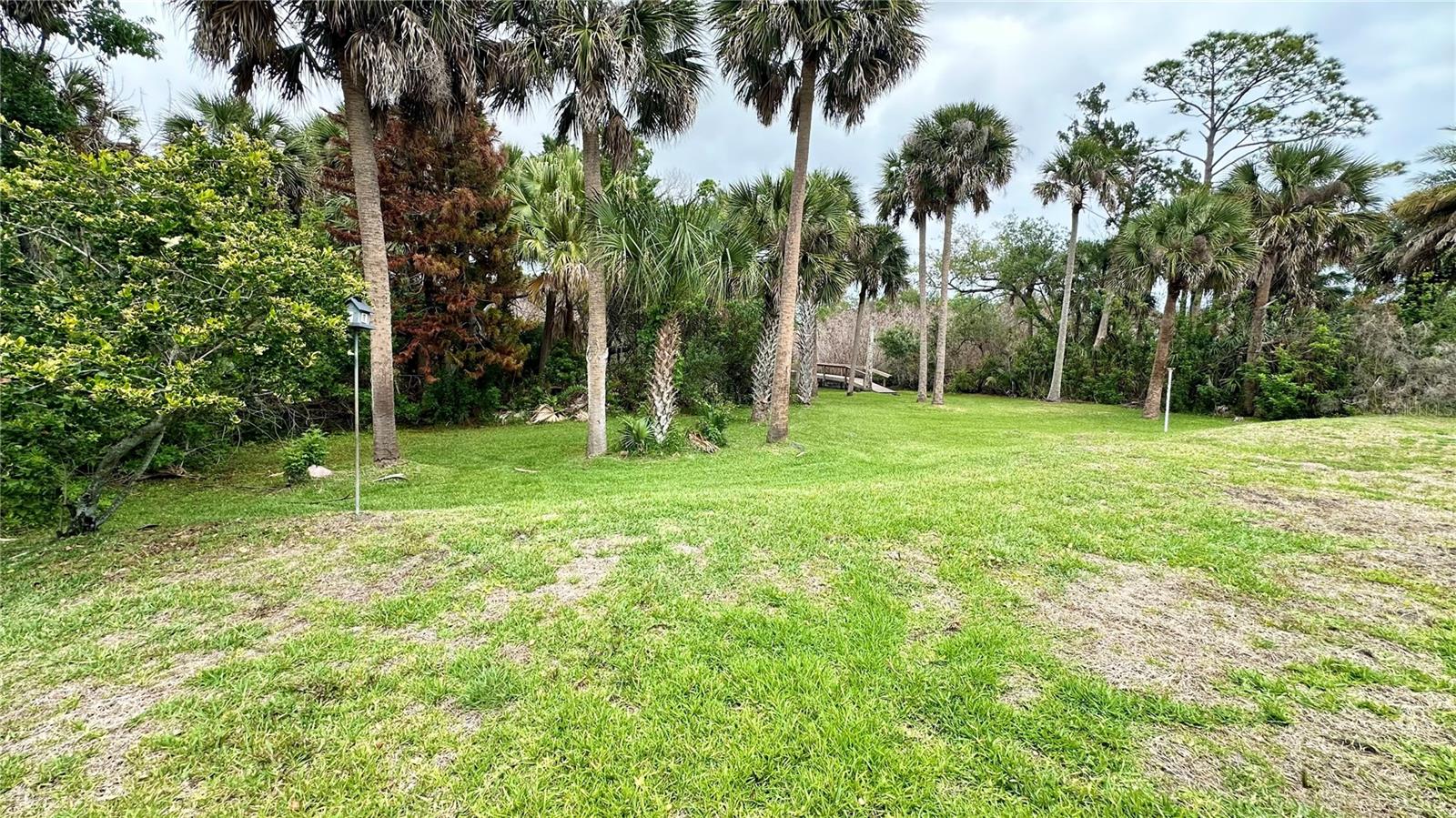 Backyard view toward canal (waiting to be cleared!) - 782 PINE SHORES CIR, NEW SMYRNA BEACH