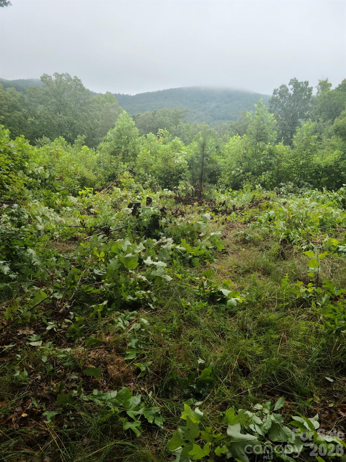 Before - 0 Osprey Lane, Nebo