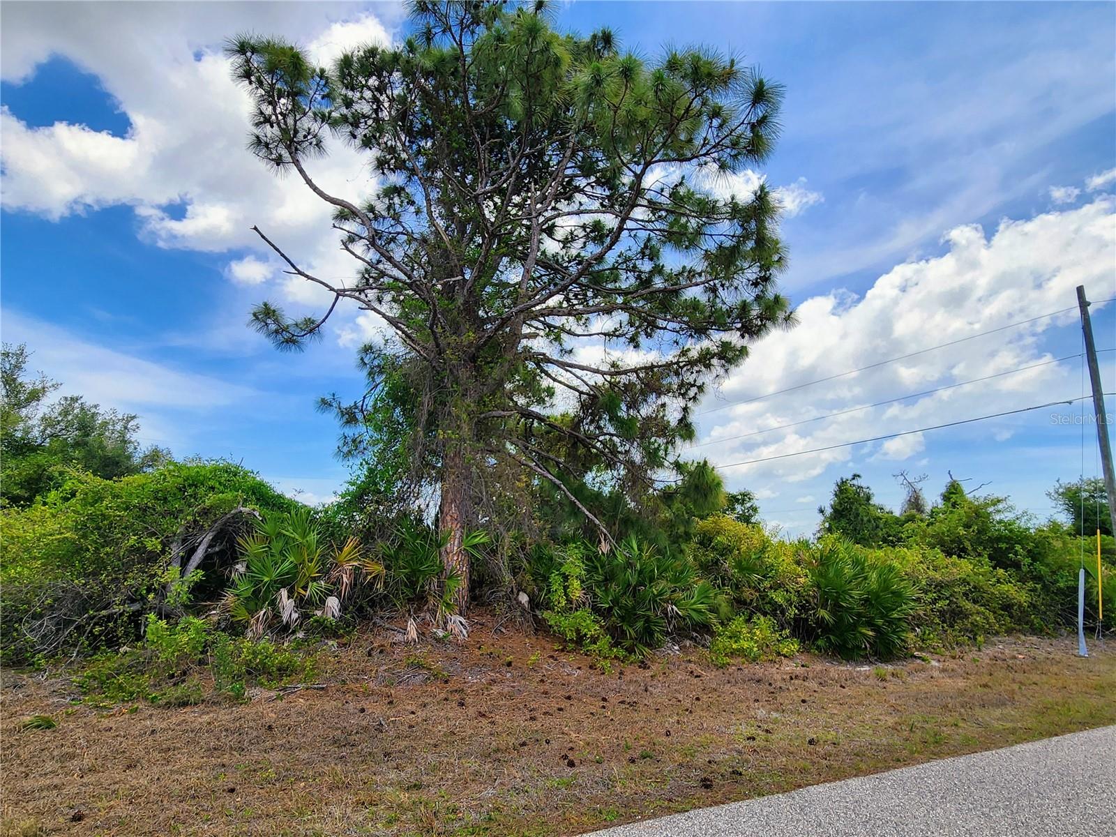 Land at 13128 FORESMAN BLVD, PORT CHARLOTTE, photo 4 of 12