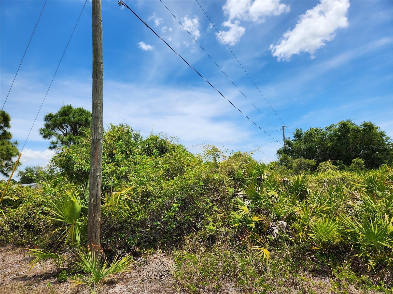 Land at 13128 FORESMAN BLVD, PORT CHARLOTTE, photo 7 of 12