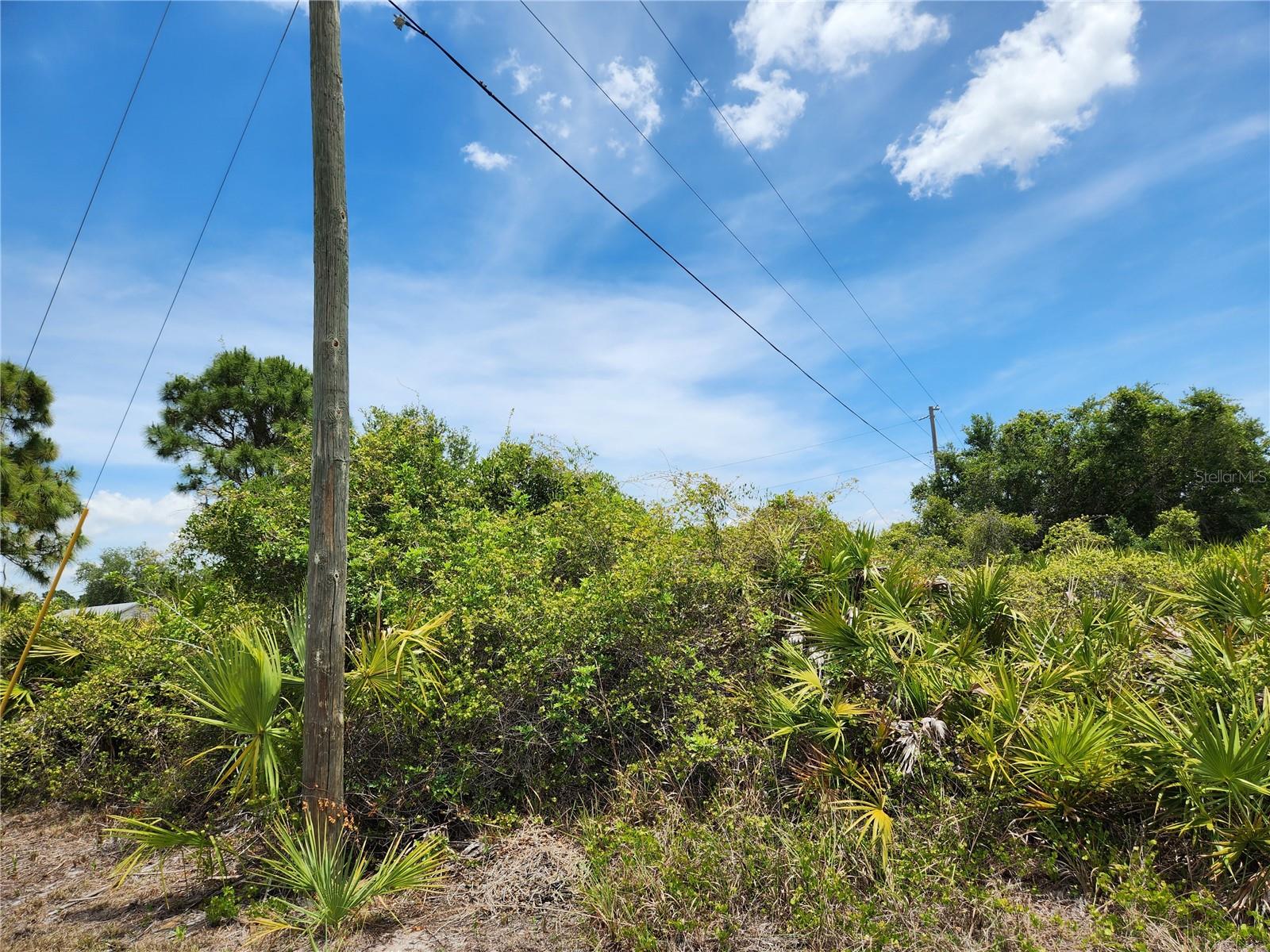 Land at 13128 FORESMAN BLVD, PORT CHARLOTTE, photo 8 of 12