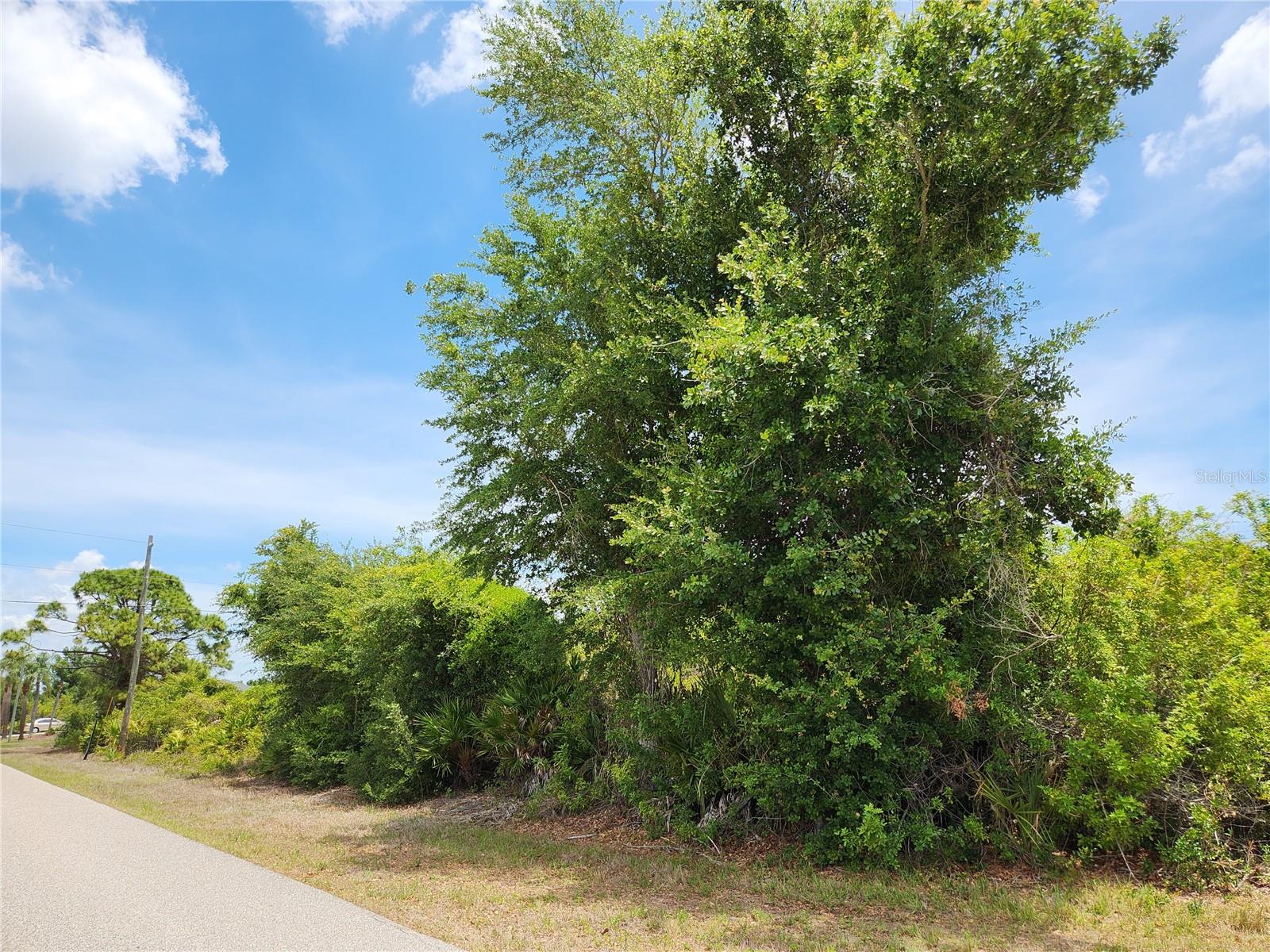 Land at 13128 FORESMAN BLVD, PORT CHARLOTTE, photo 9 of 12
