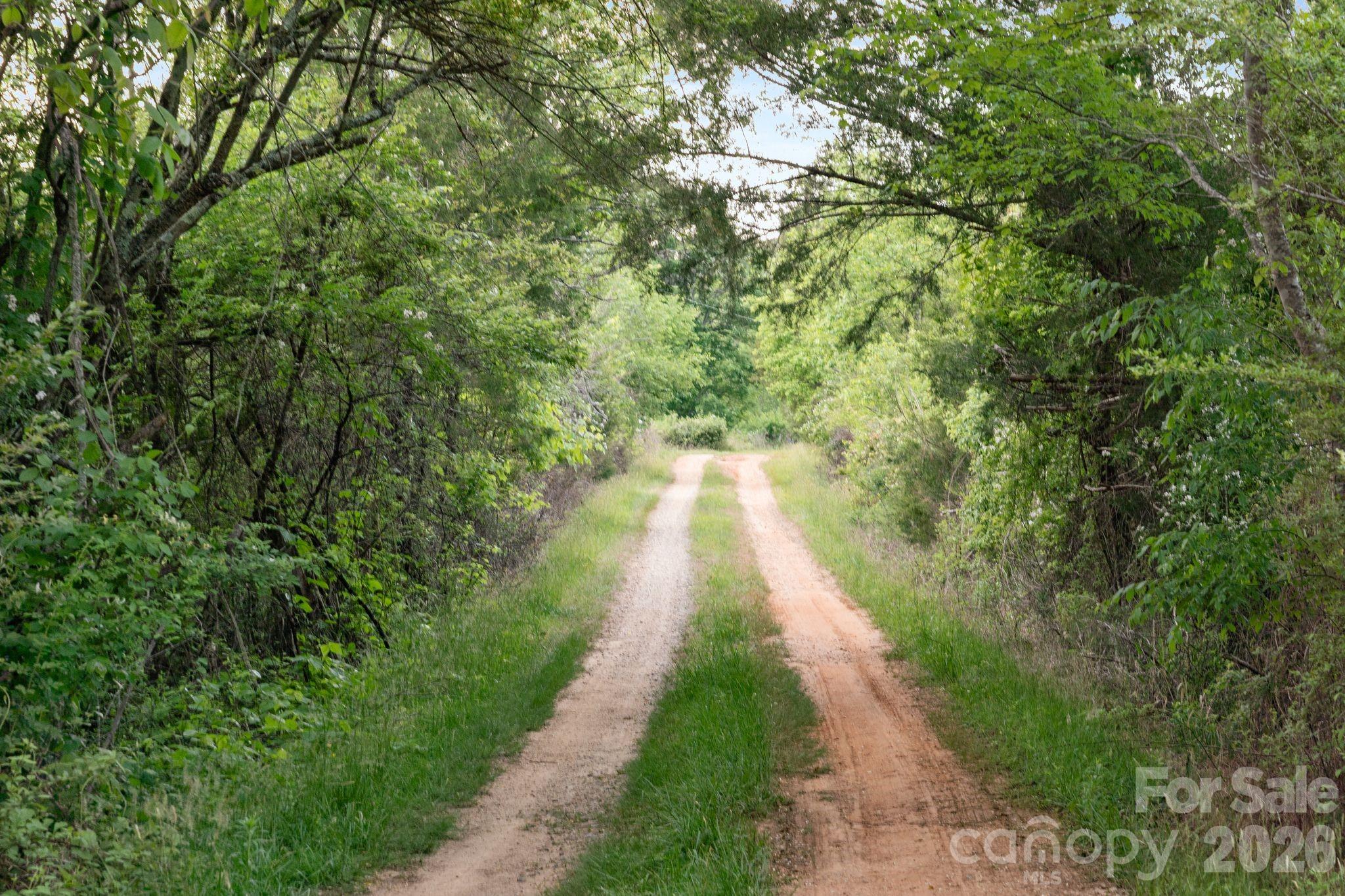 Mile Long Driveway - 415 Reel Hollow Road, Marion