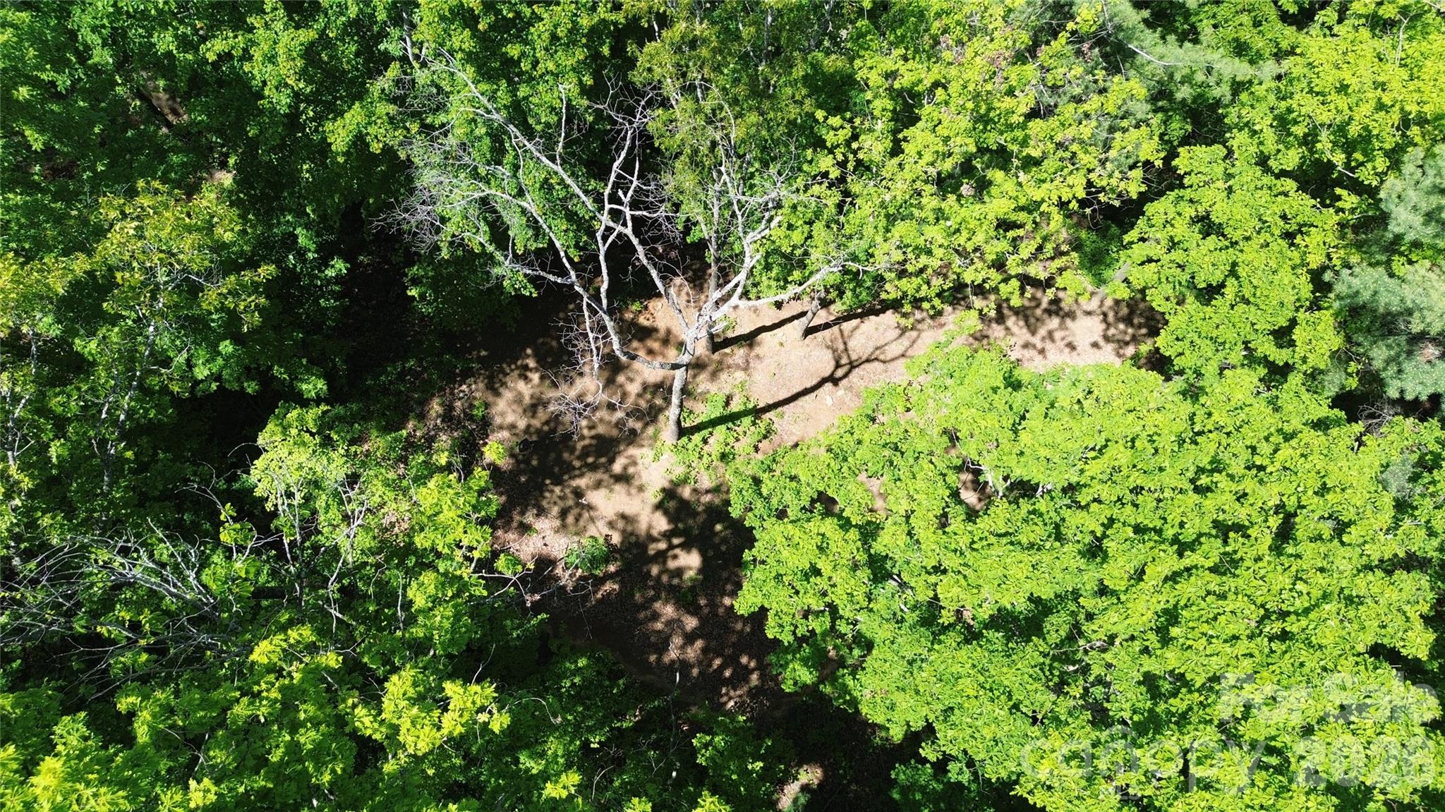 Acreage at 99999 Pink Fox Cove Road, Weaverville