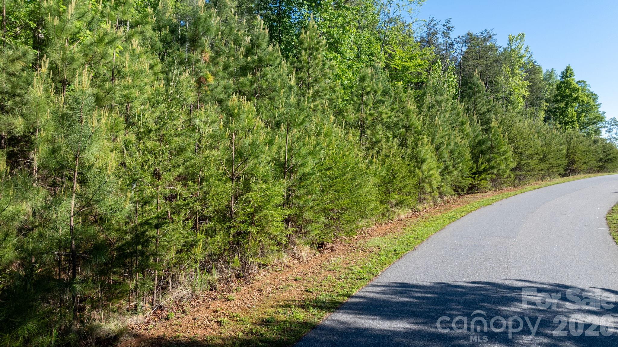 Lot at 3030 Channel View Cove, Morganton, photo 6 of 25