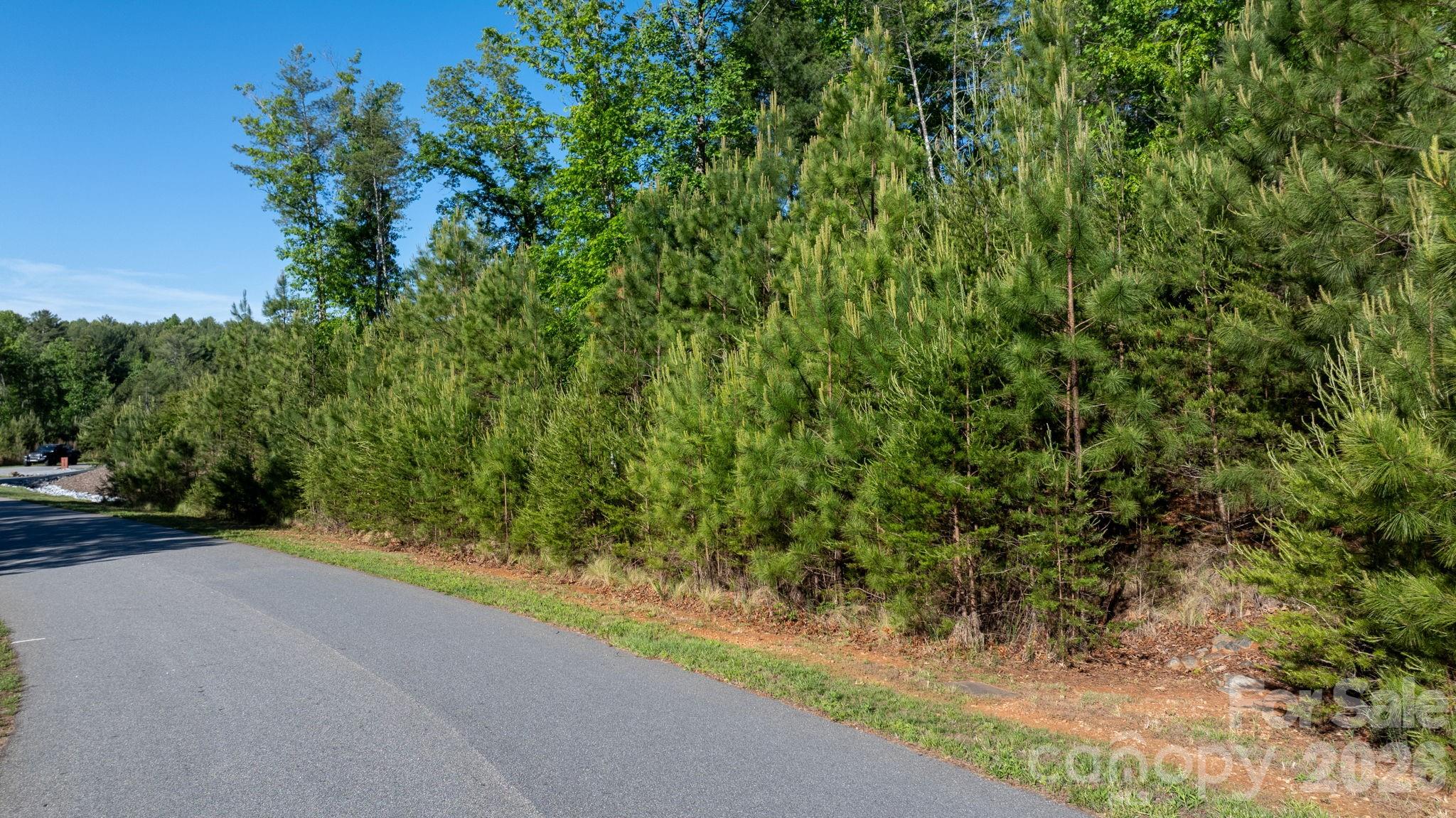 Lot at 3030 Channel View Cove, Morganton, photo 7 of 25