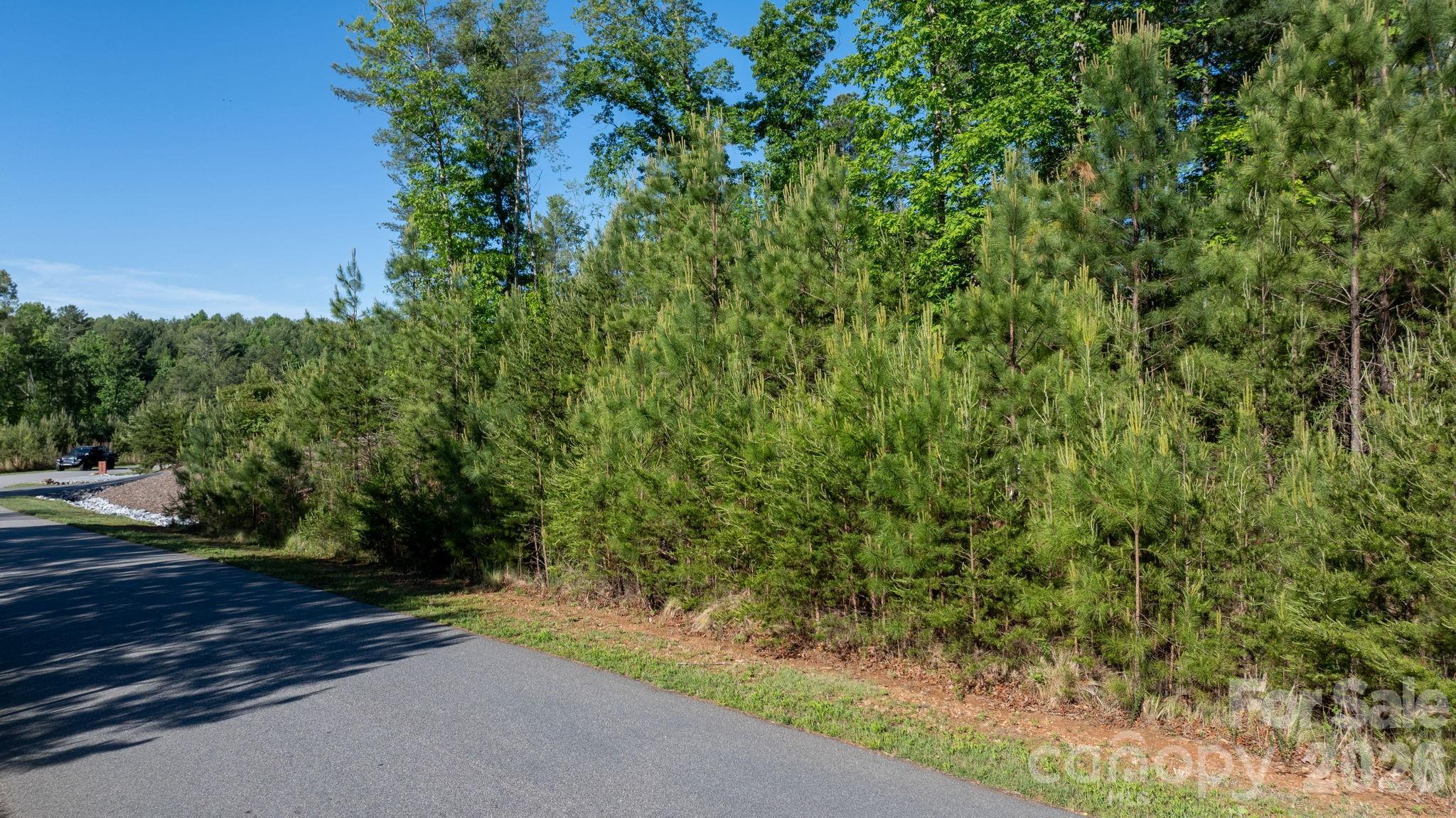 Lot at 3030 Channel View Cove, Morganton, photo 8 of 25