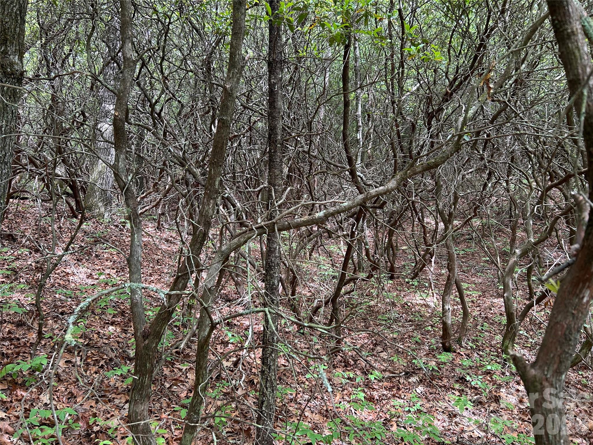 Lot at 1054 Hawk Mountain Road, Lake Toxaway, photo 16 of 20