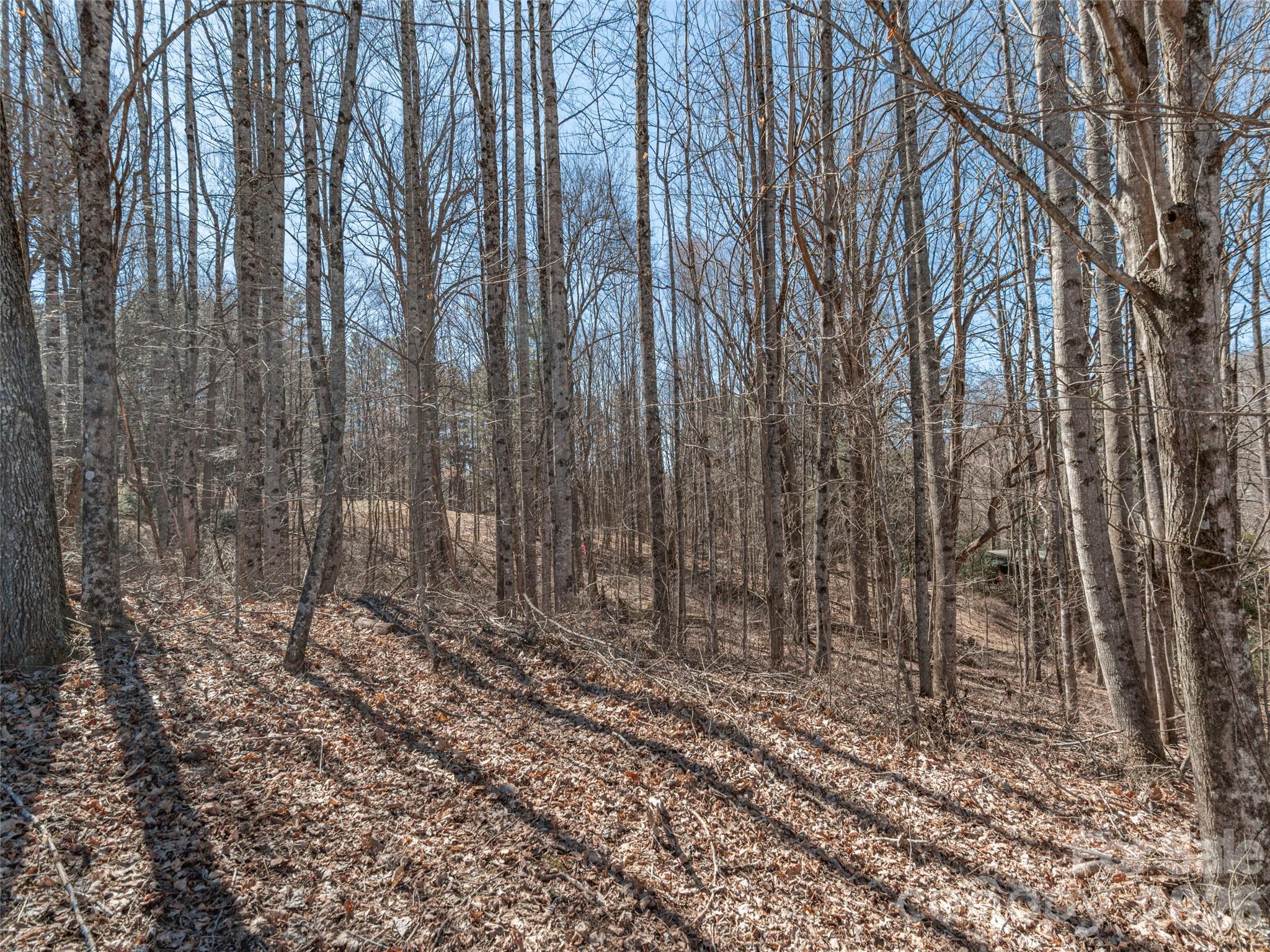 Lot at 00 Sams Trail, Waynesville, photo 4 of 7