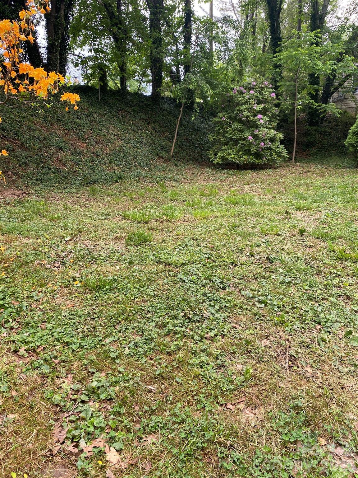 Lot at TBD Lilac Street, Asheville