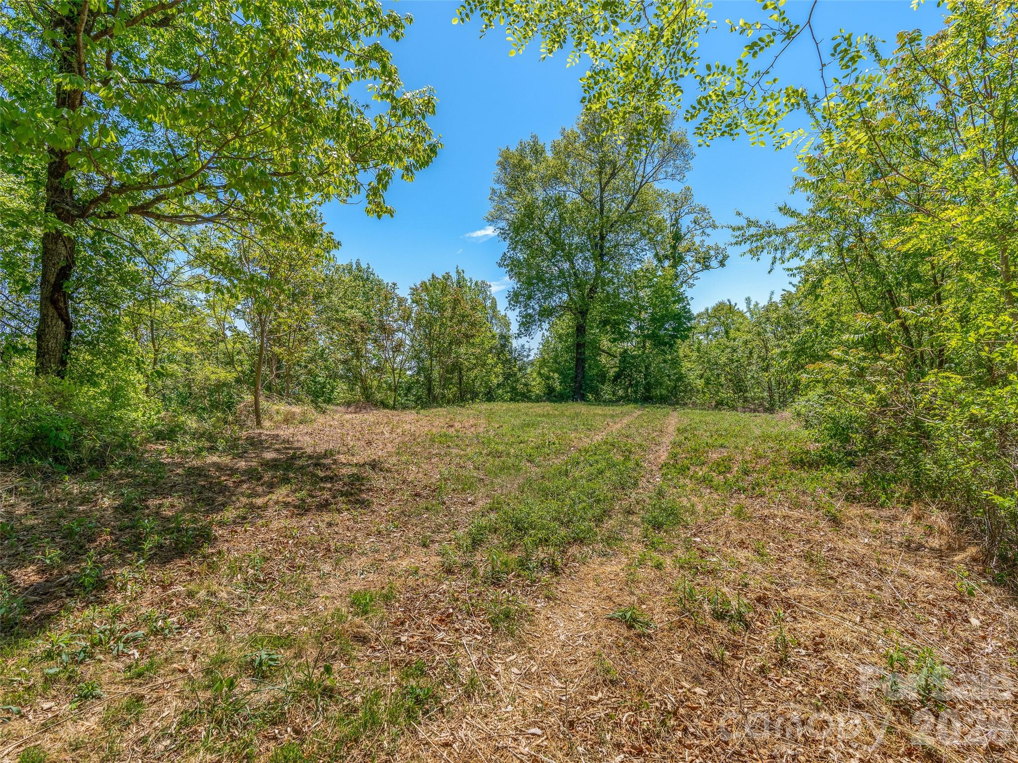 Level homesite with breathtaking year-round mountain views! - 488 Warbler Lane, Black Mountain