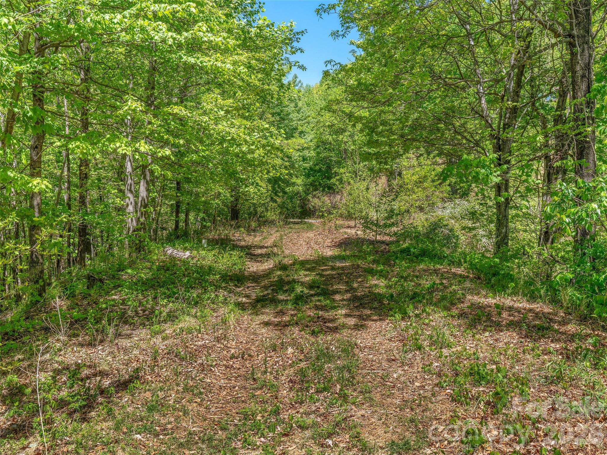 A level, roughed-in driveway leads to a large, flat building pad with gentle topography. - 488 Warbler Lane, Black Mountain