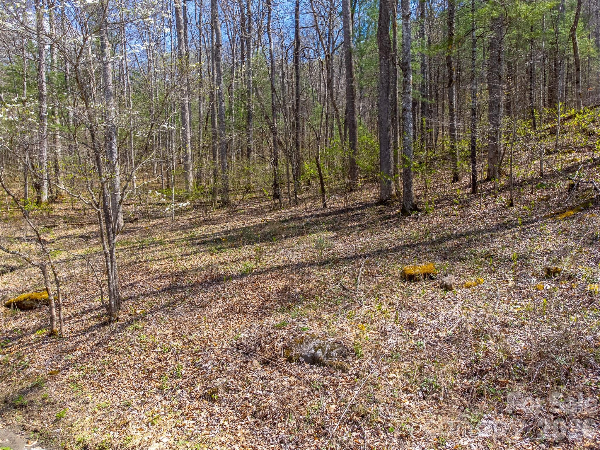 Lot at 306 Cedar Creek Farm Road, Tuckasegee