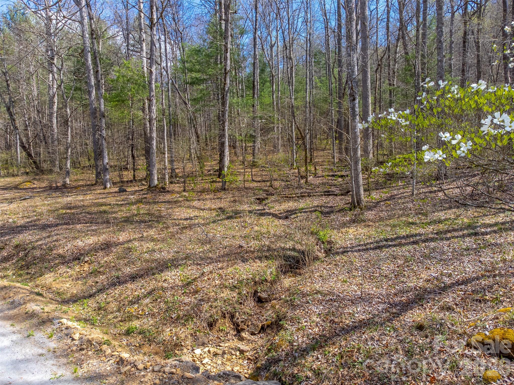 Lot at 306 Cedar Creek Farm Road, Tuckasegee, photo 2 of 29