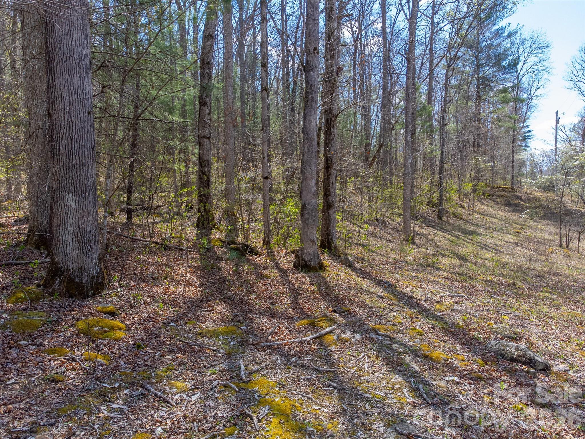 Lot at 306 Cedar Creek Farm Road, Tuckasegee, photo 10 of 29