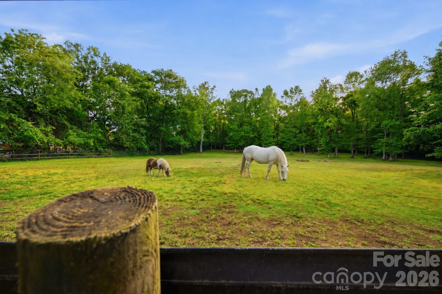 Latta Plantation next door offers miles of riding and hiking trails when the horses are done grazing at home. - 10915 Beatties Ford Road, Huntersville
