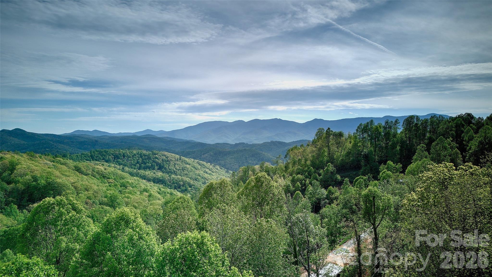Views from the extra acreage - 262 Azalea Hills Lane, Spruce Pine
