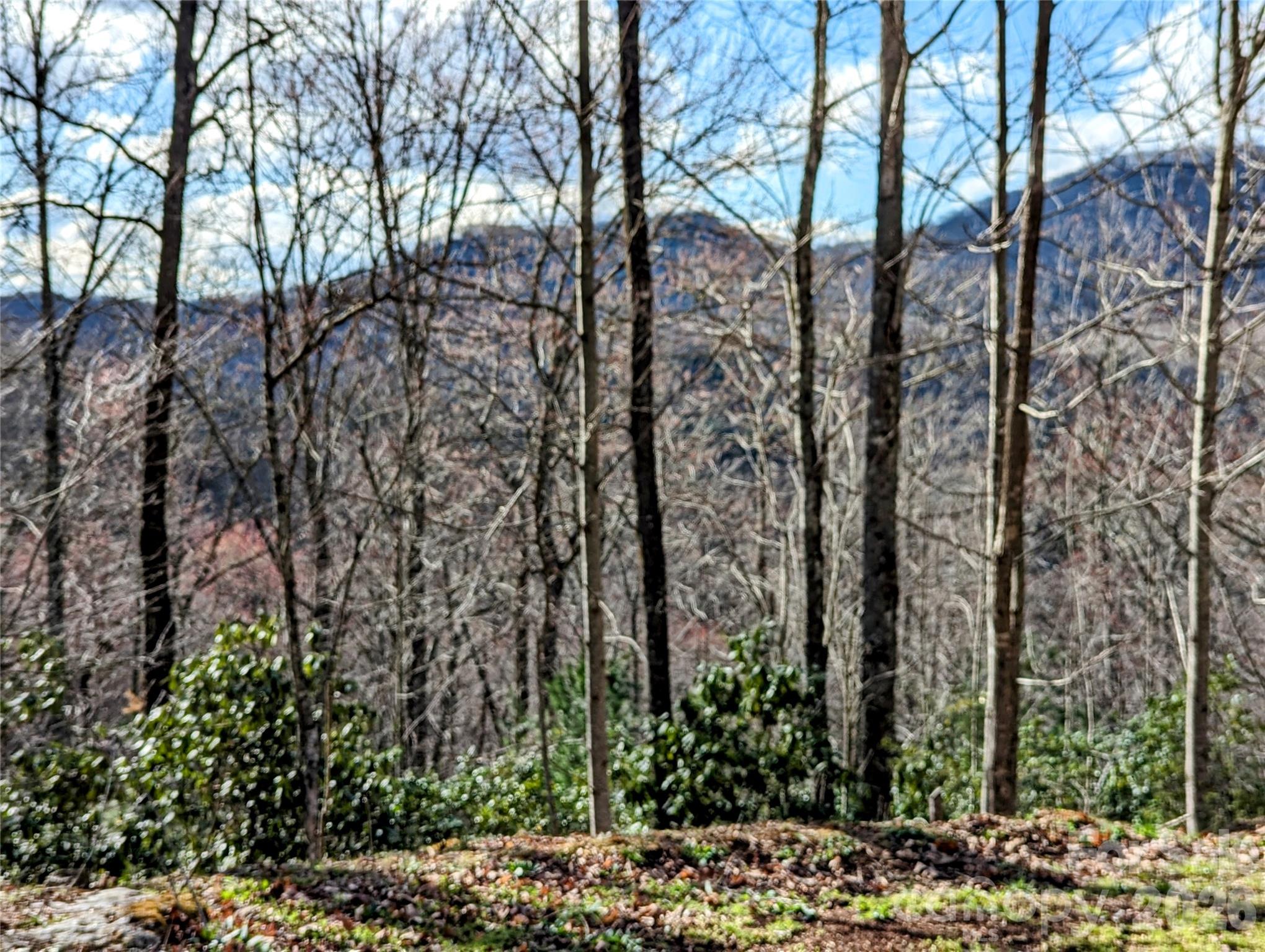 0 Dodgen Ridge Road