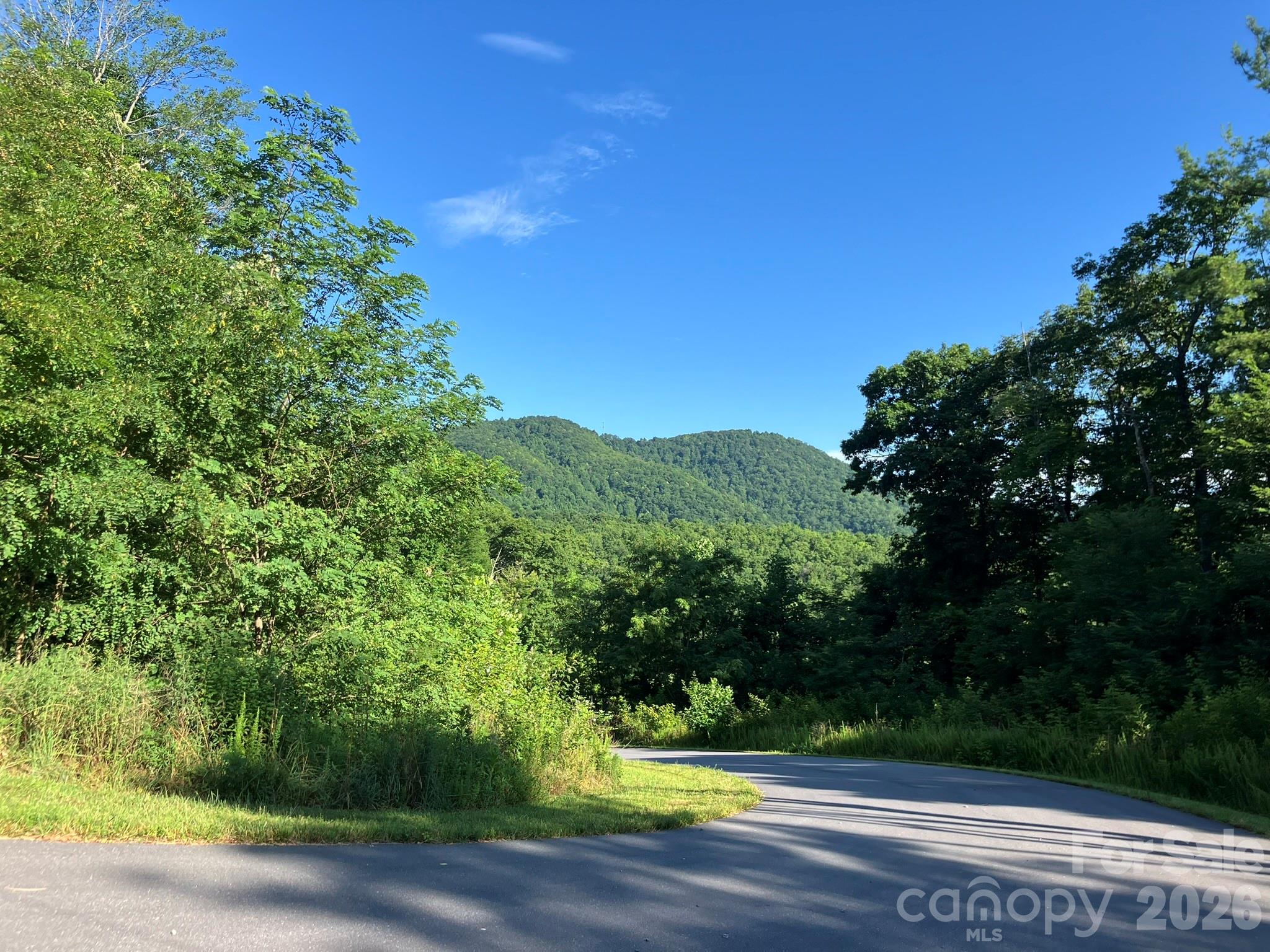 views in community - 0 Grey Rock Parkway, Lake Lure
