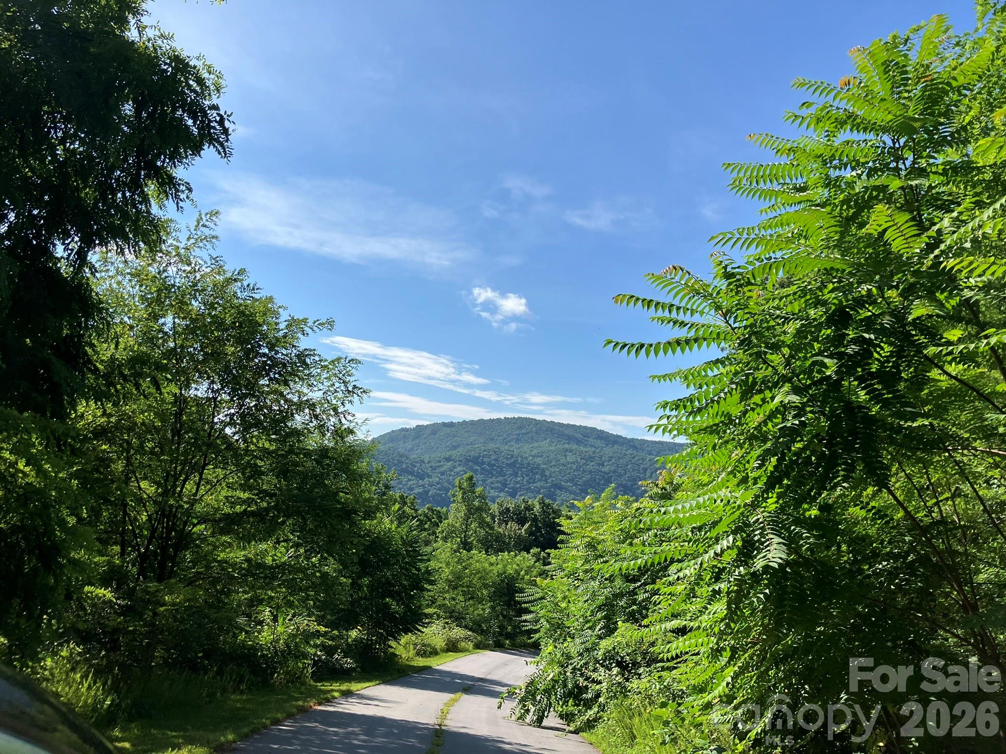 views in community - 0 Grey Rock Parkway, Lake Lure