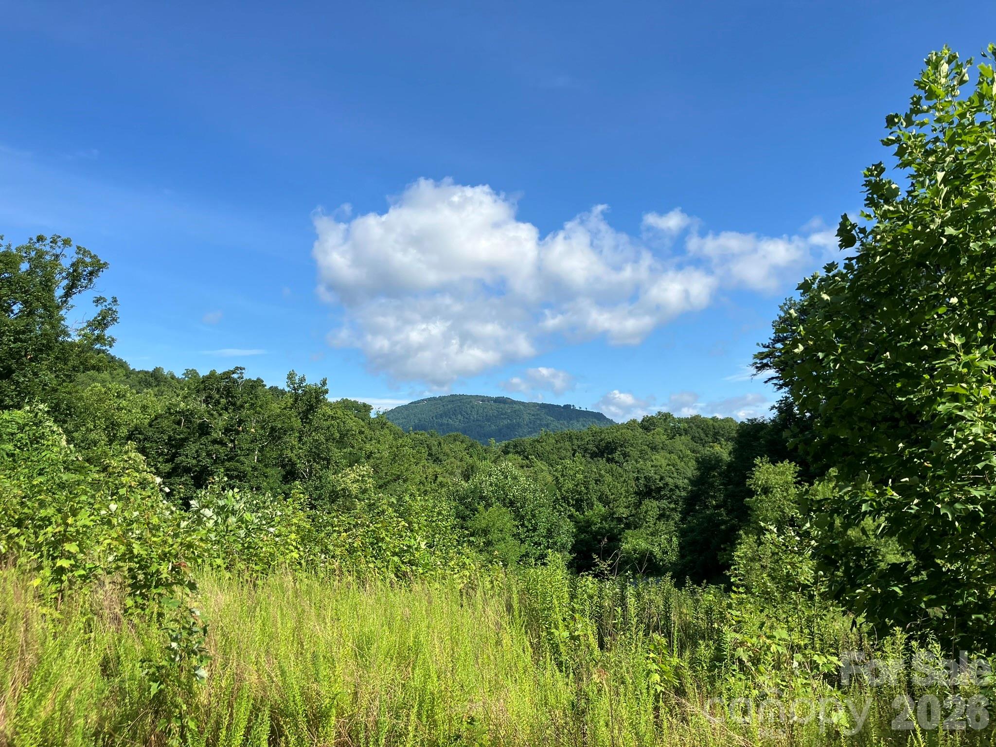 views in community - 0 Grey Rock Parkway, Lake Lure
