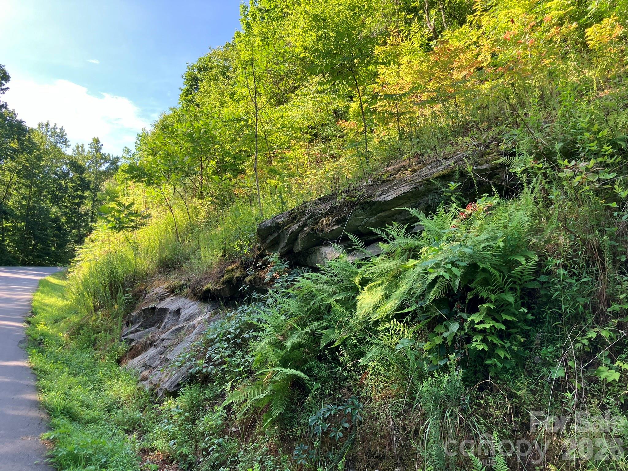 views in community - 0 Grey Rock Parkway, Lake Lure