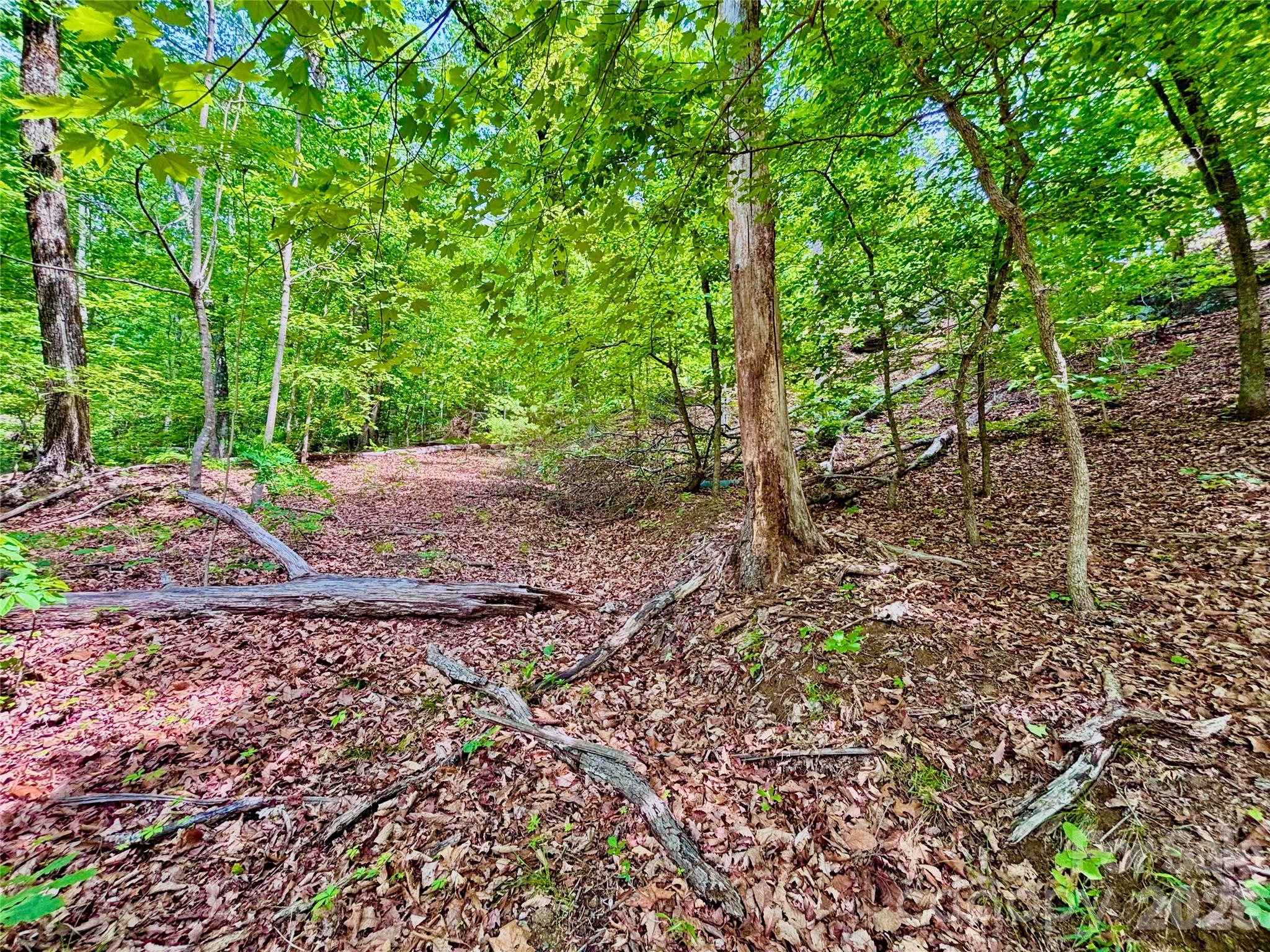 Lot at 350 Springvalley Drive, Rutherfordton, photo 2 of 12
