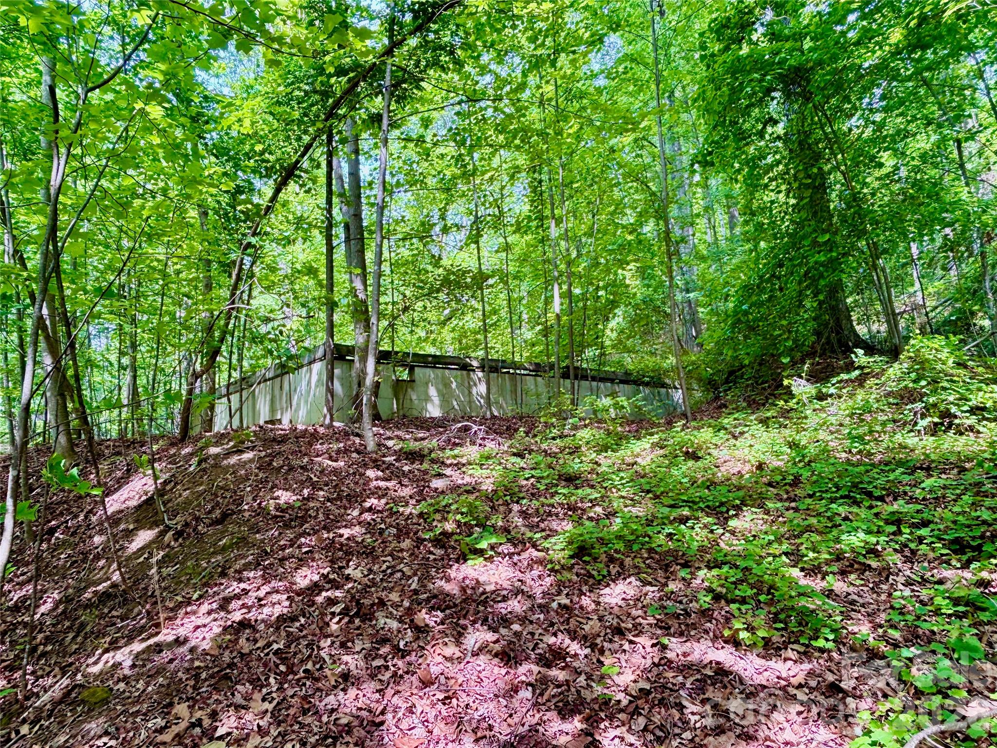 Lot at 350 Springvalley Drive, Rutherfordton, photo 4 of 12
