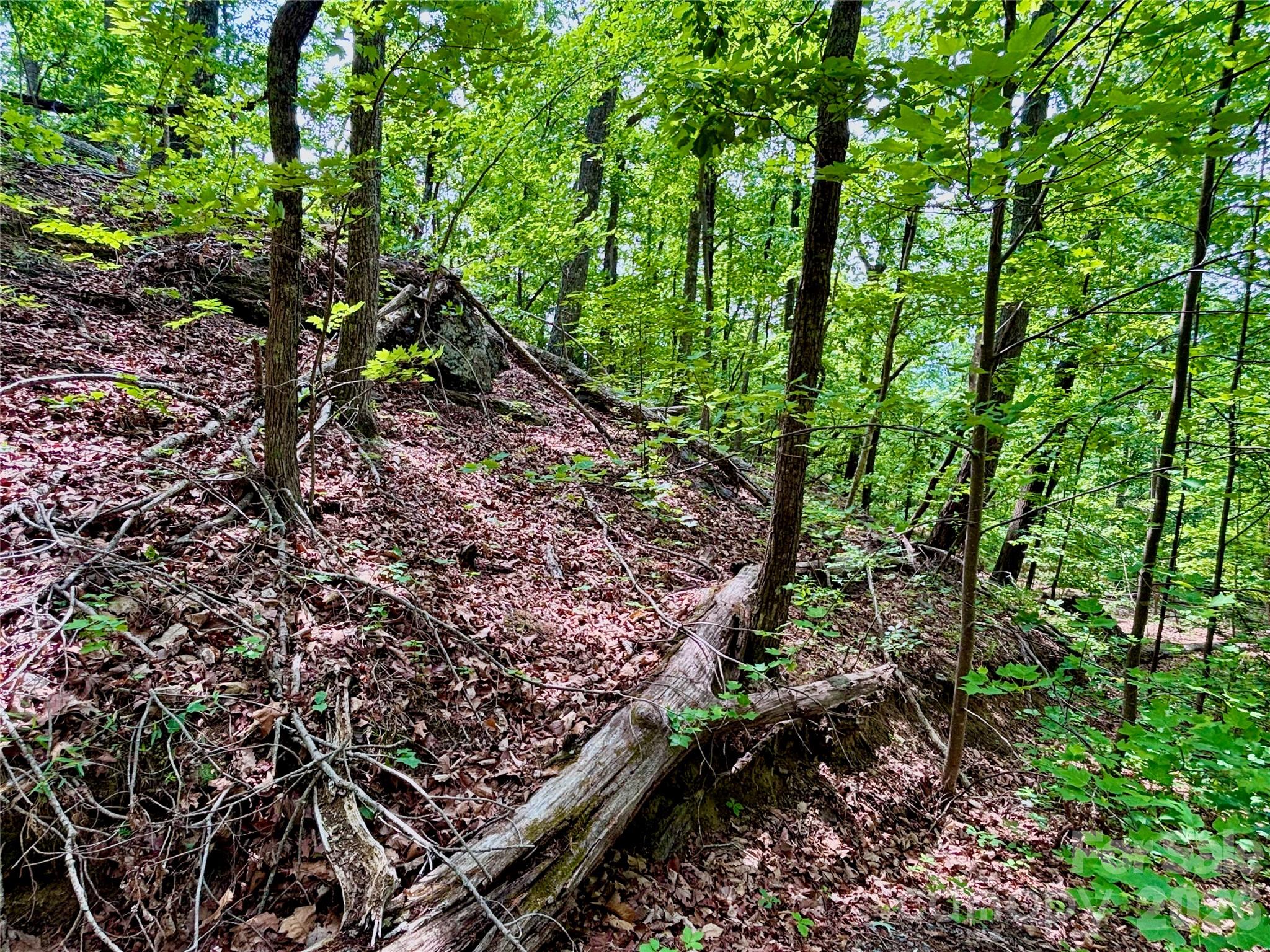 Lot at 350 Springvalley Drive, Rutherfordton, photo 7 of 12