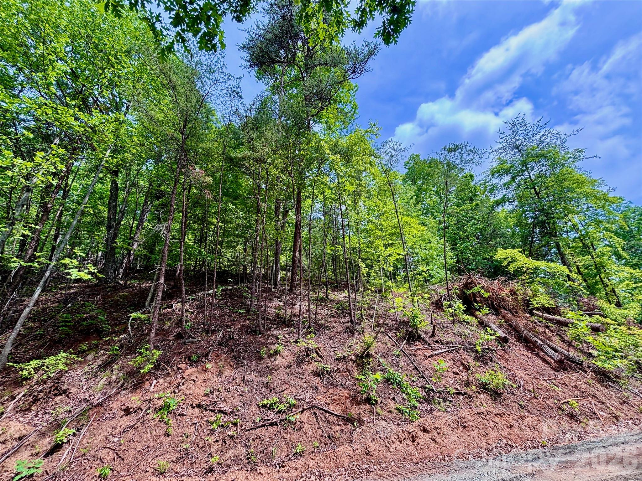 Lot at 350 Springvalley Drive, Rutherfordton, photo 8 of 12