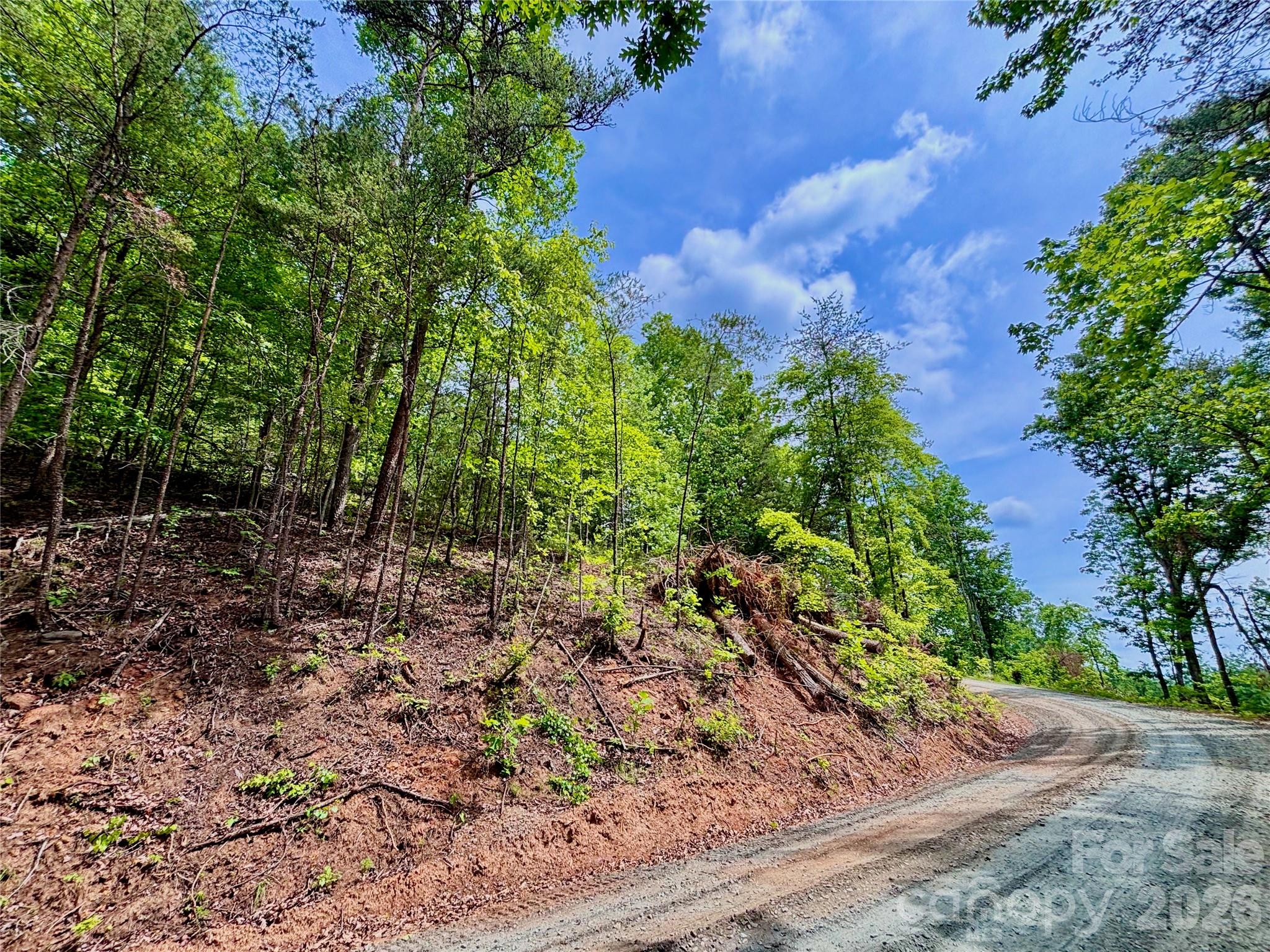 Lot at 350 Springvalley Drive, Rutherfordton, photo 9 of 12