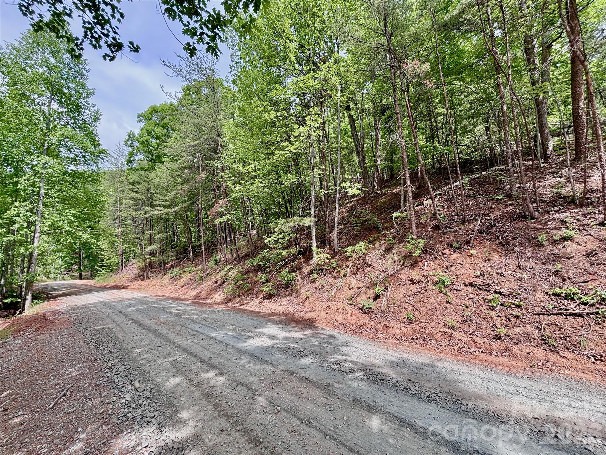 Lot at 350 Springvalley Drive, Rutherfordton, photo 10 of 12