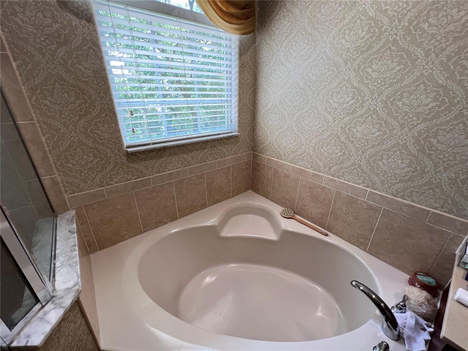 Single Family Residence at 1607 TAIL FEATHER DR, KISSIMMEE, photo 32 of 52