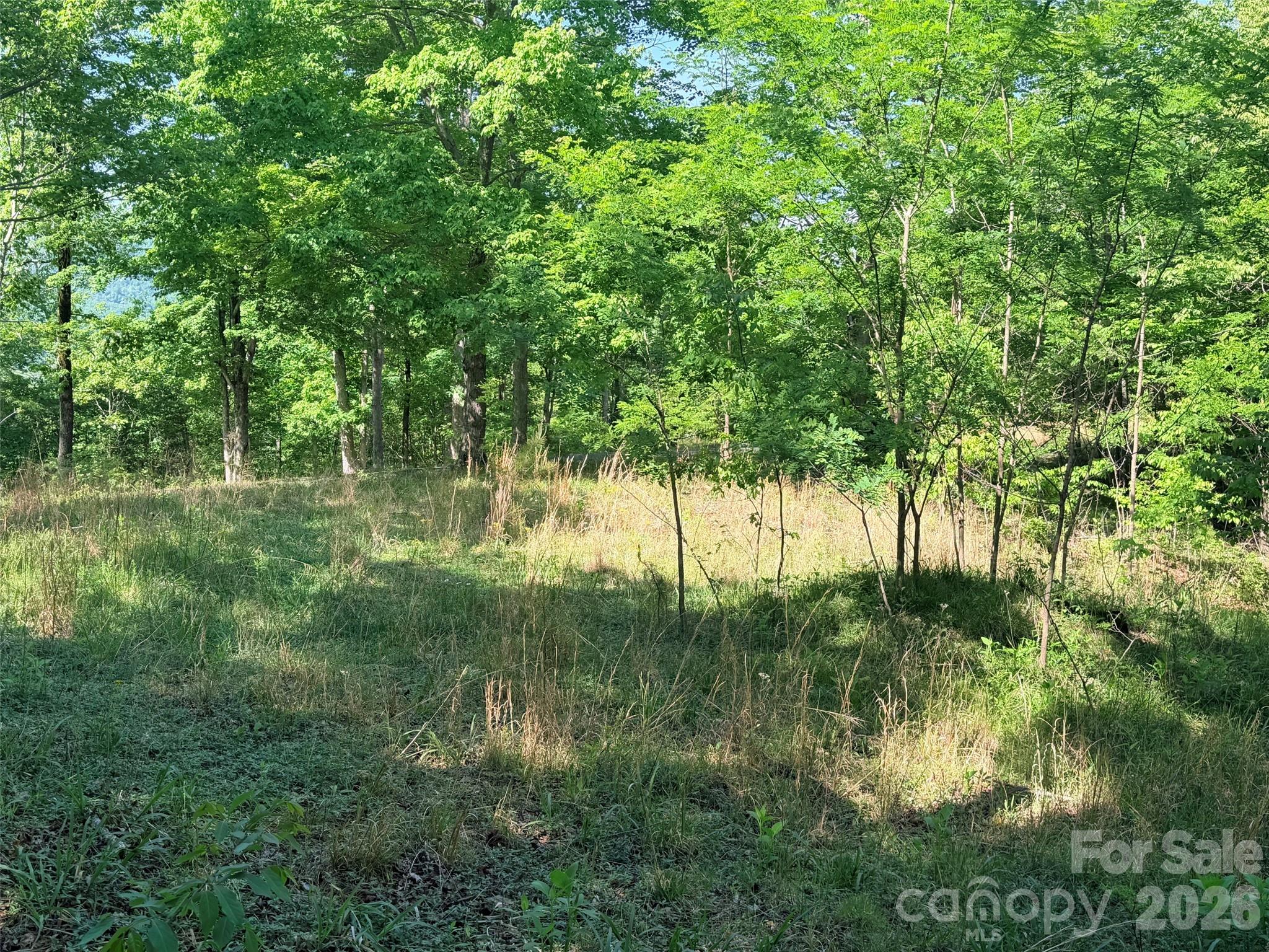 Lot 8 High Rock Ridge
