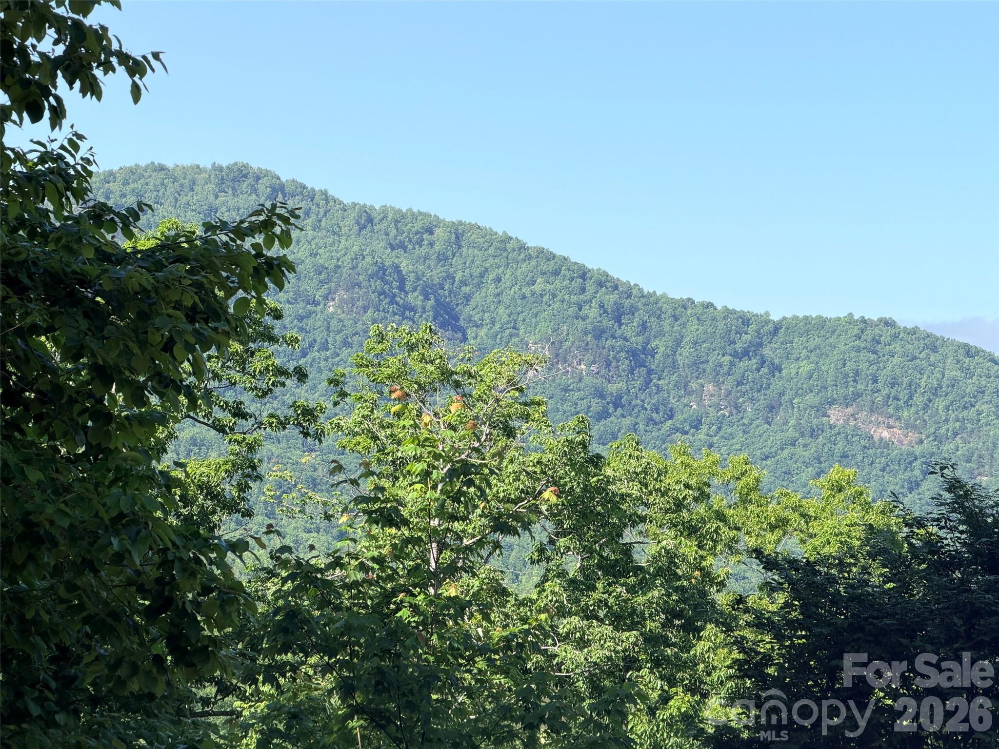 Lot at Lot 8 High Rock Ridge, Lake Lure, photo 2 of 28