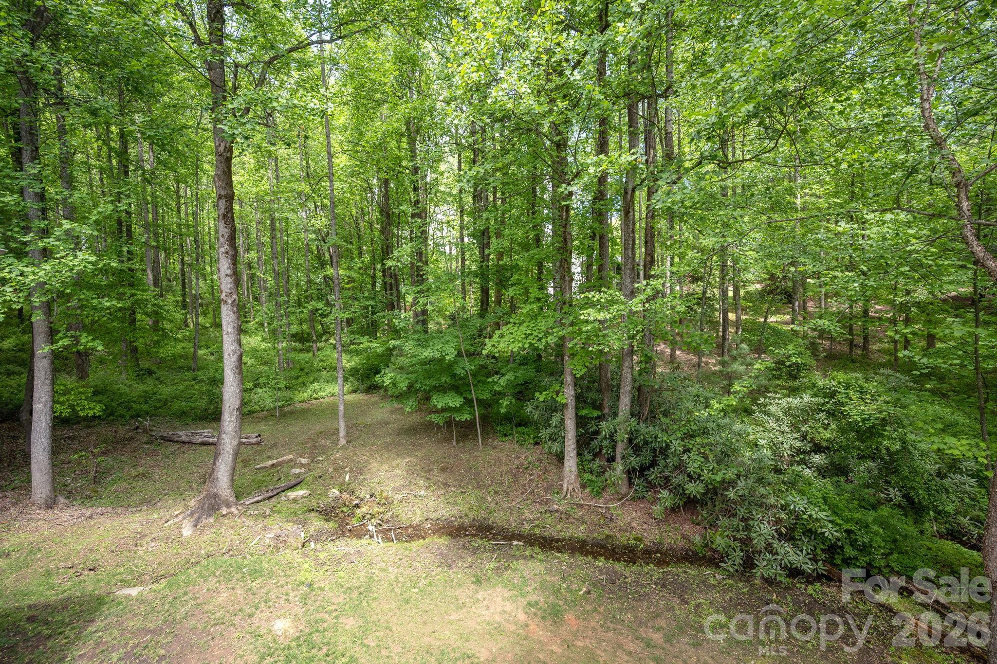 Single Family Residence at 113 CHANCERY Court, Flat Rock, photo 24 of 45