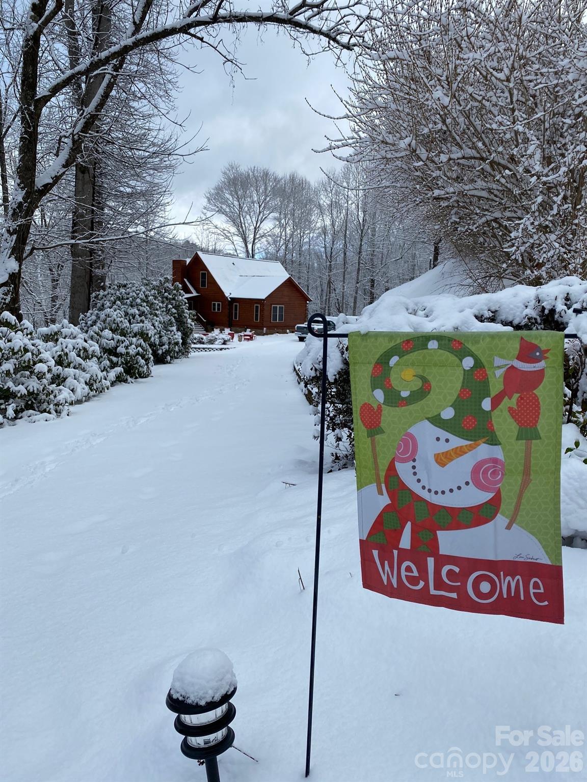 Snow Picture - 17 Aaron Way, Waynesville