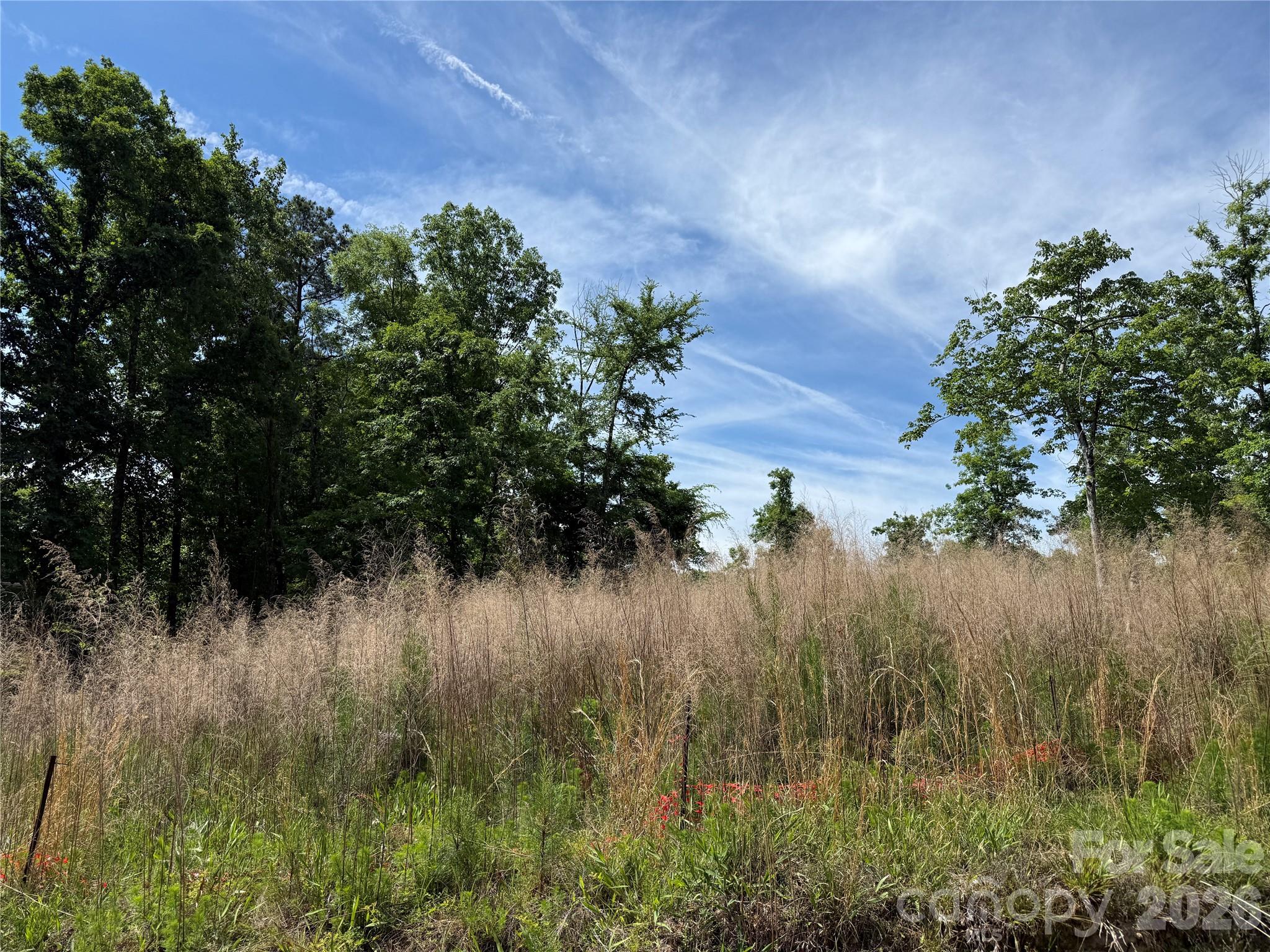 Lot at 426 Morrison Farm Road, Troutman, photo 2 of 15