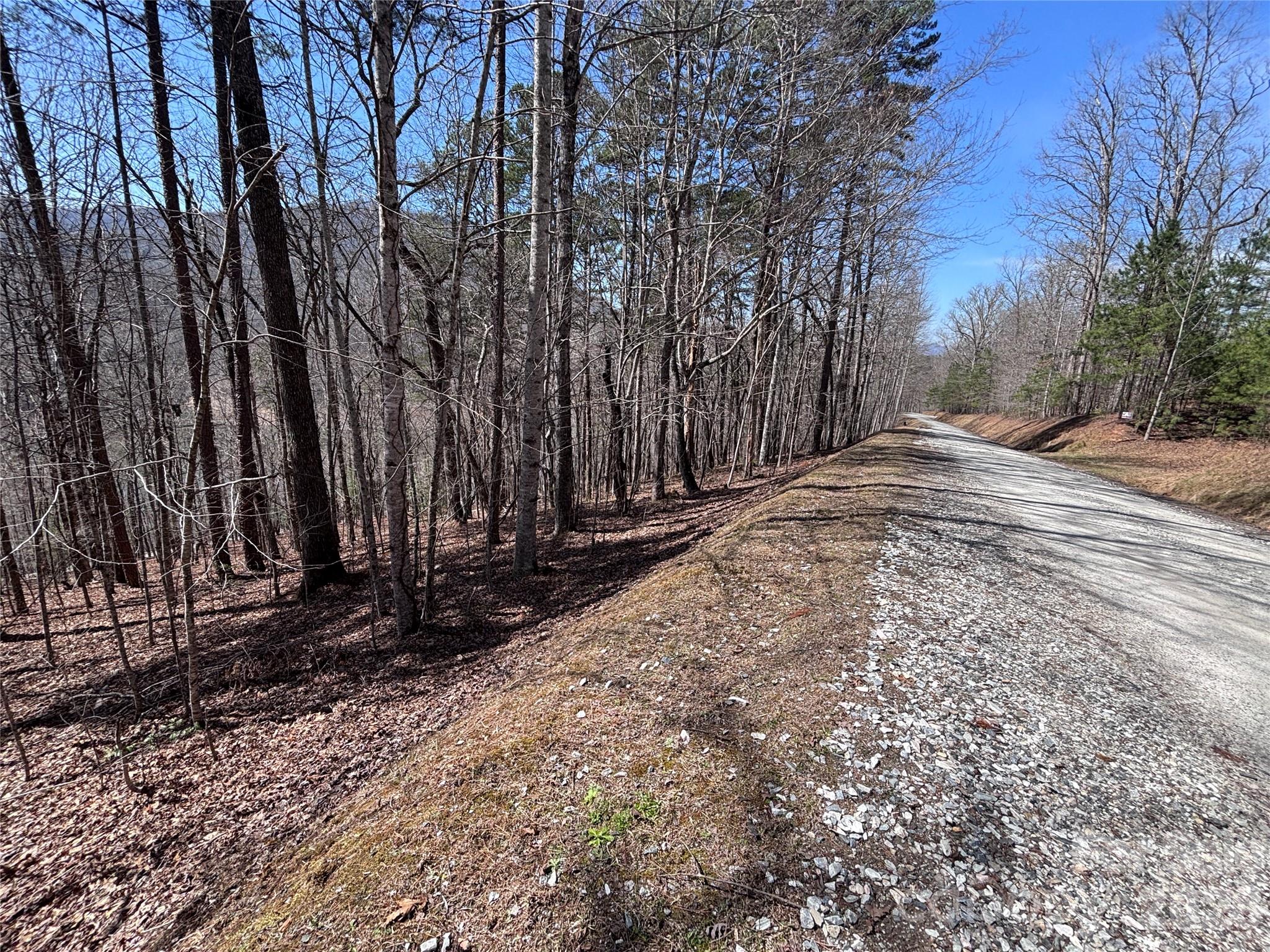 Lot at Lot 55-3 Fontana Loop S, Bryson City, photo 19 of 30