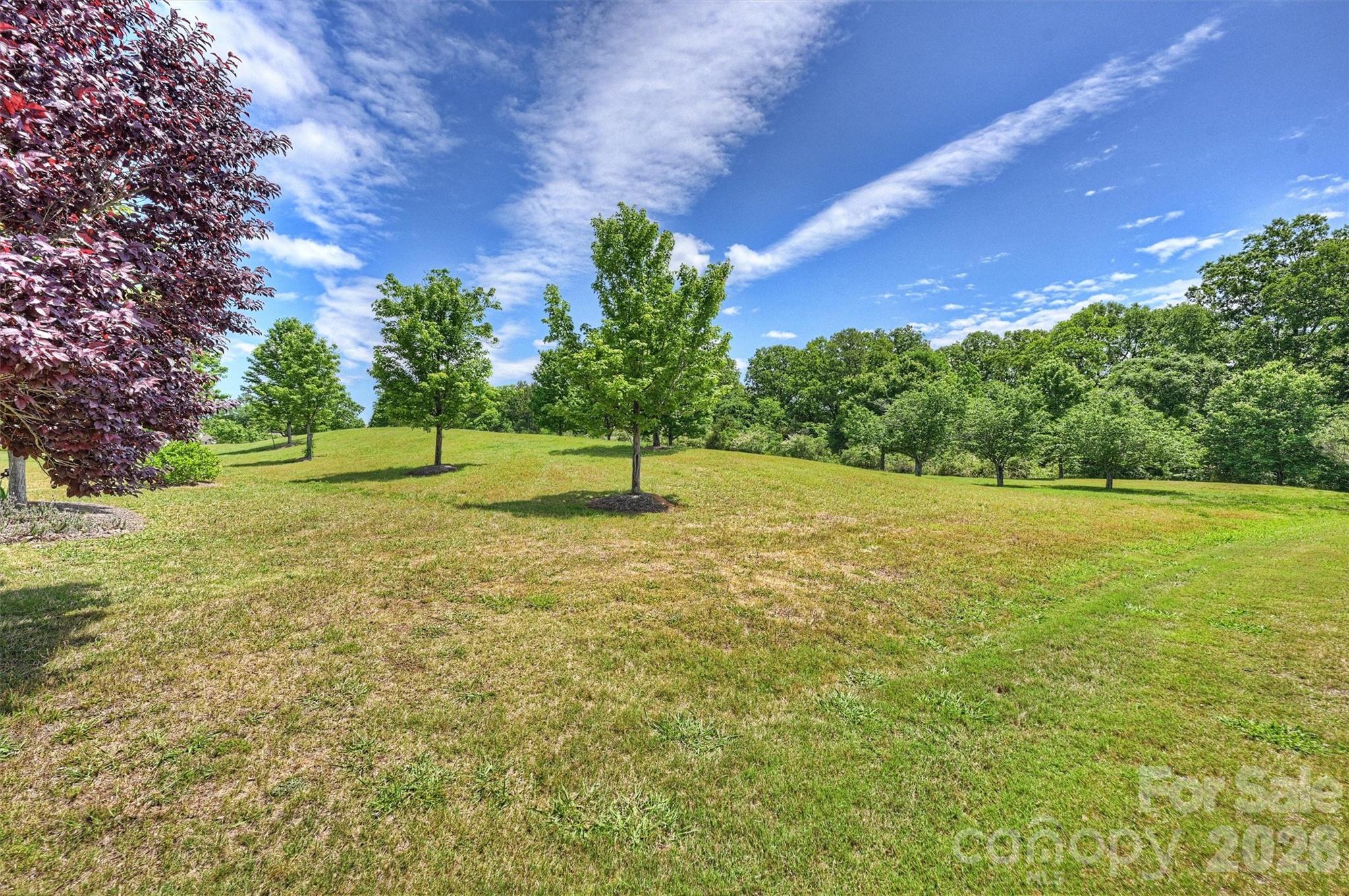 Single Family Residence at 23116 Kingfisher Drive, Fort Mill, photo 34 of 43