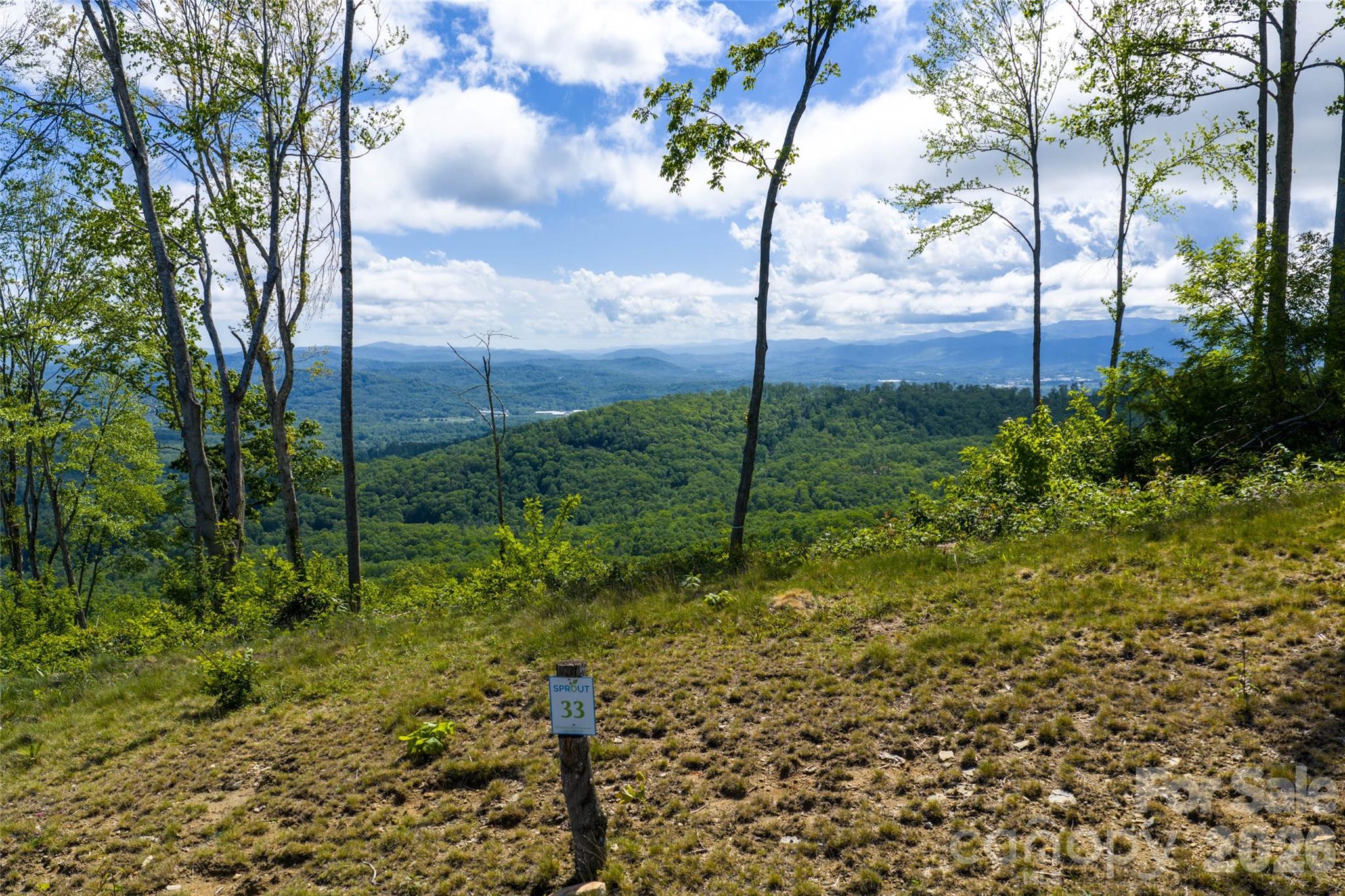 Lot at TBD E Garden Trail, Hendersonville, photo 2 of 26