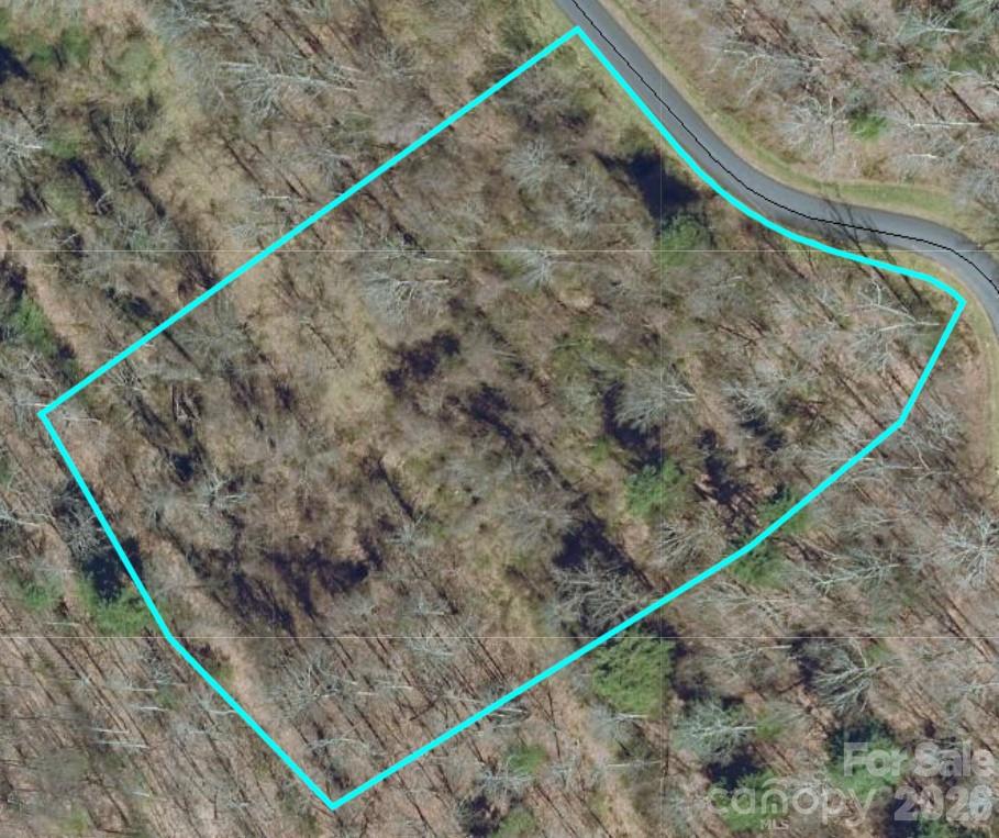 Lot at 197 Starling Pass, Asheville, photo 6 of 9