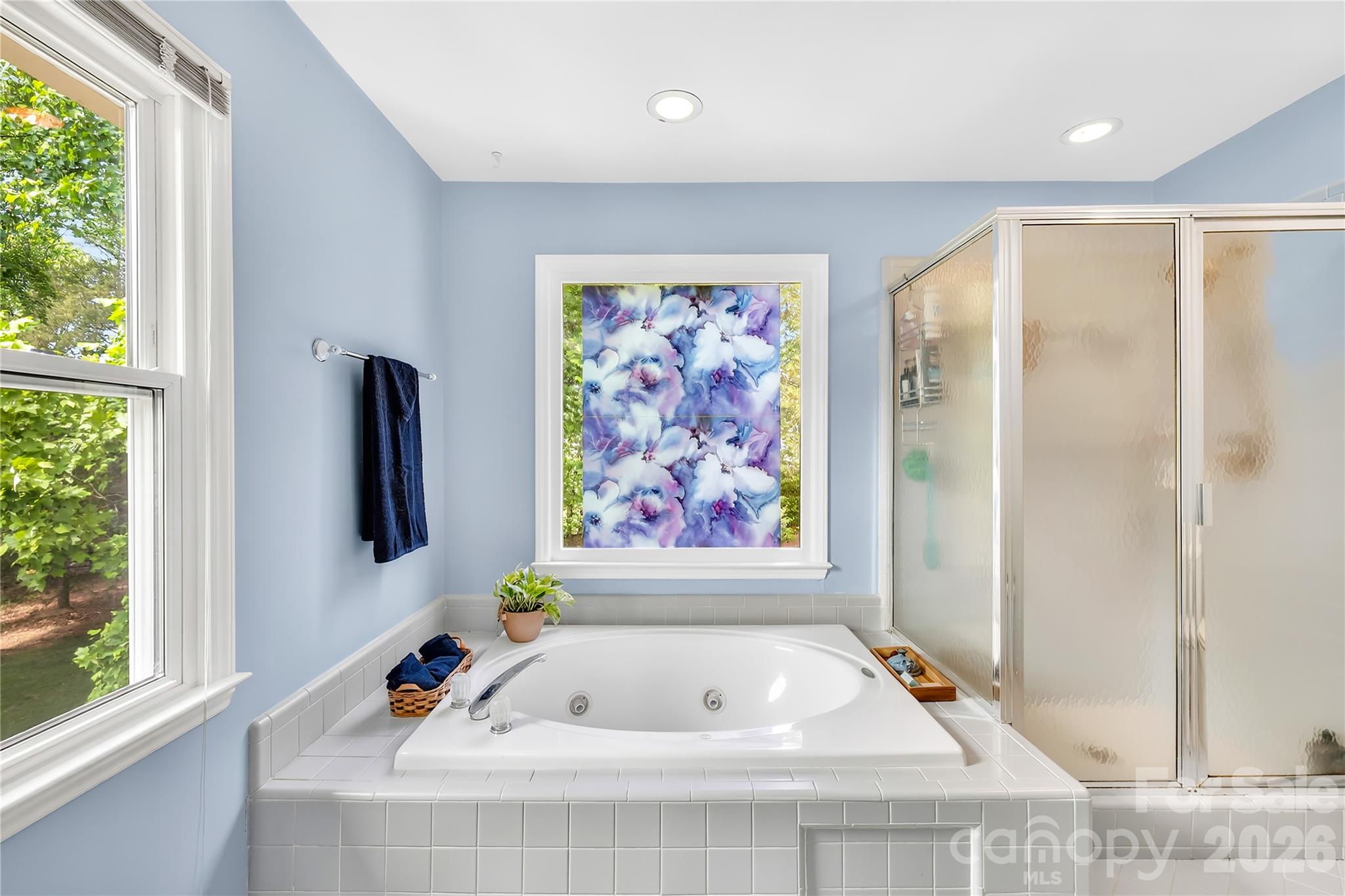 Soak-in tub and glass shower - 1066 Briarcliff Road, Mooresville