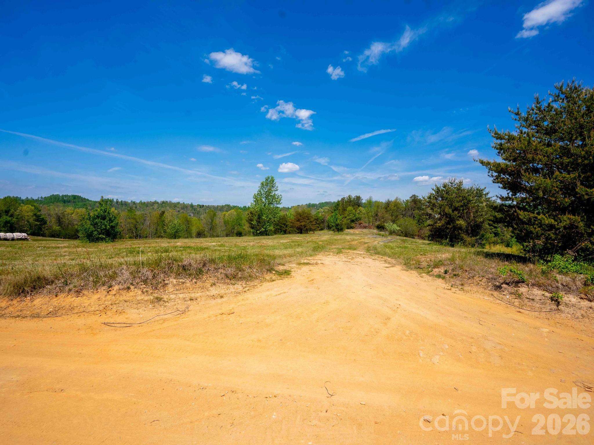 Acreage at 3670 Summer Road, Hendersonville, photo 2 of 22